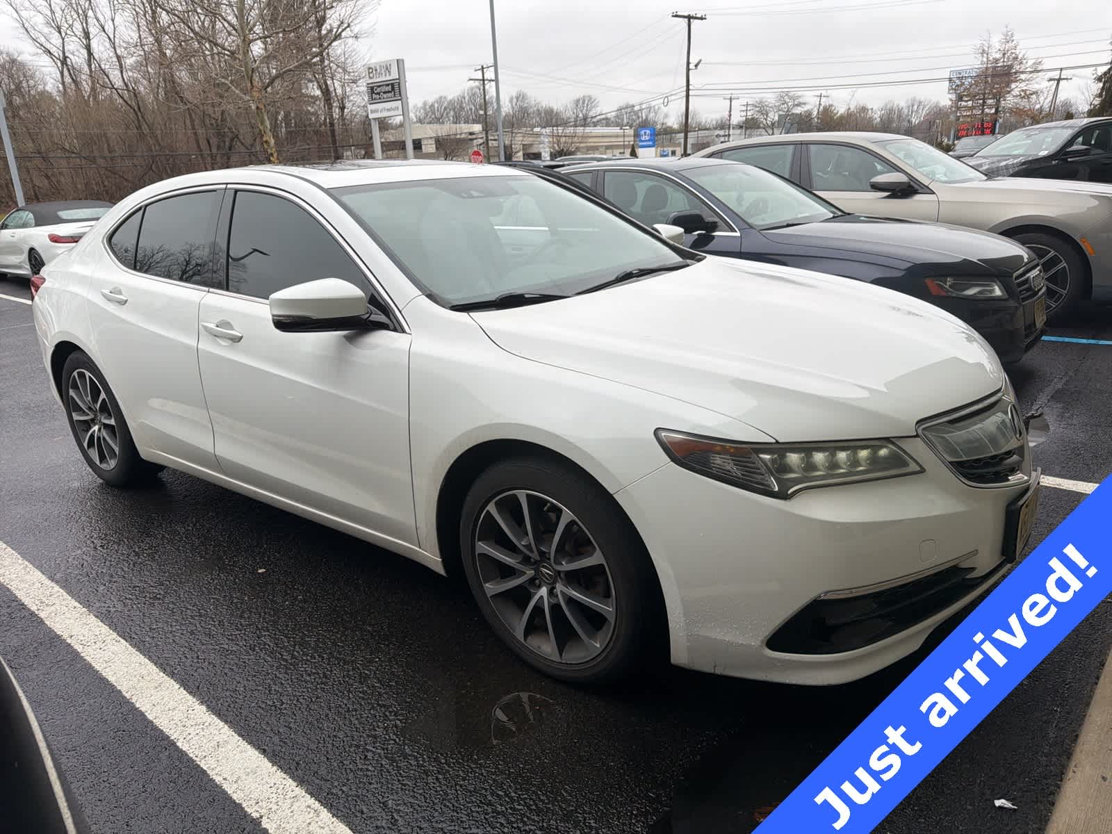 2017 Acura TLX Technology -
                  Freehold, NJ