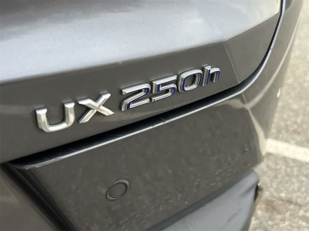 Thumbnail: 2020 Lexus UX - 15