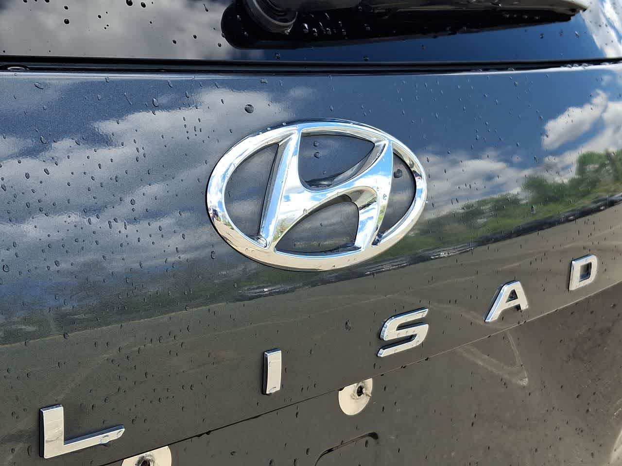 Thumbnail: 2022 Hyundai Palisade - 28