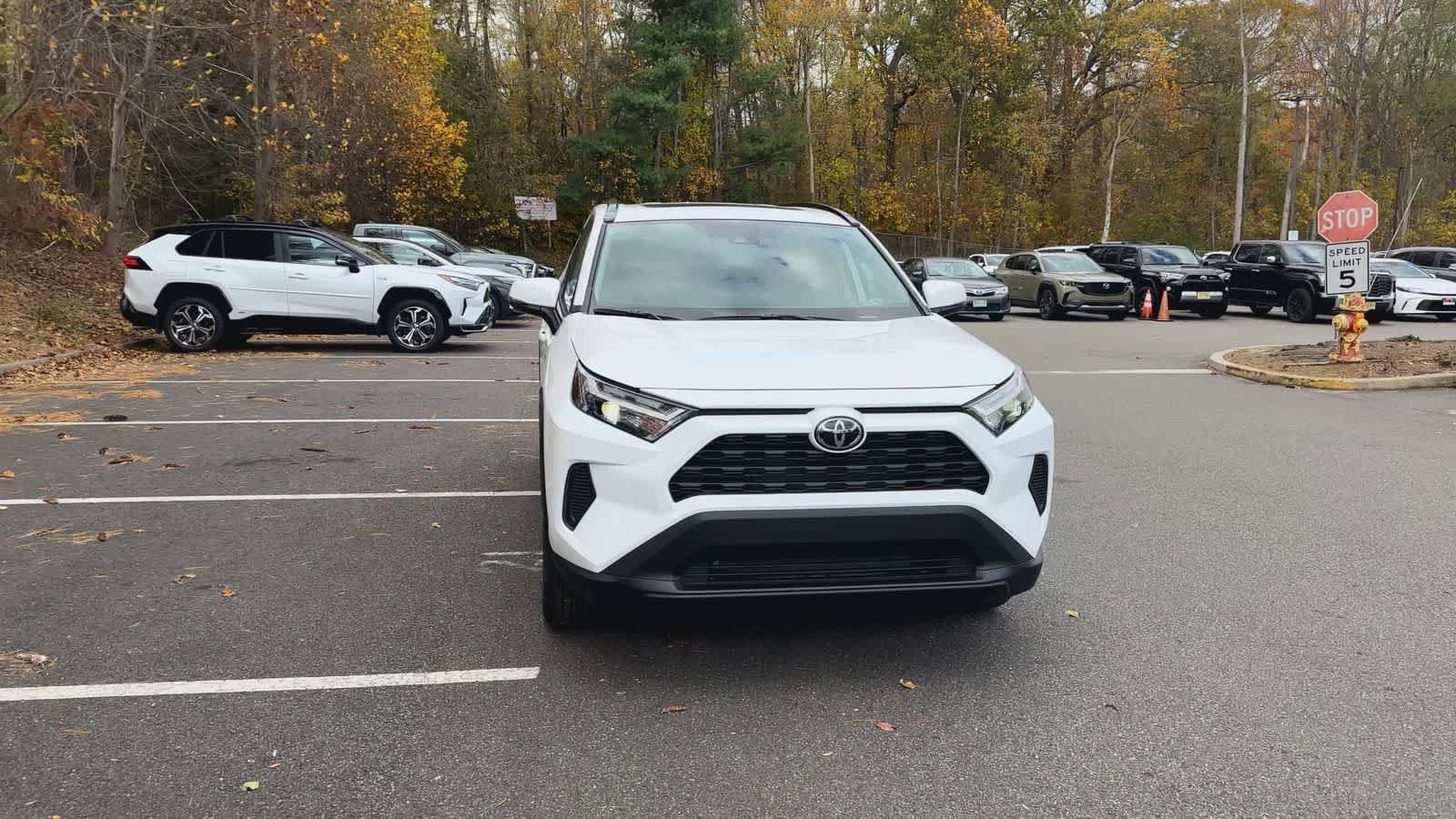 Thumbnail: 2025 Toyota RAV4 - 3