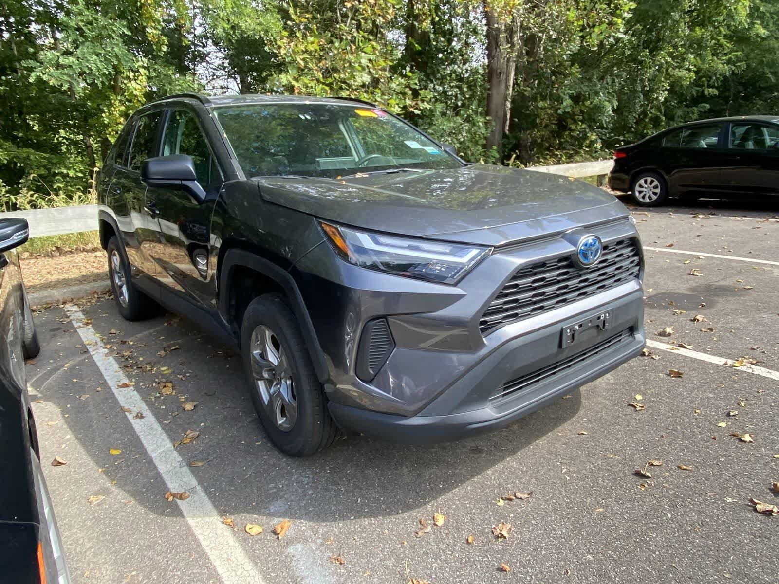 2024 Toyota RAV4 Hybrid LE photo 3