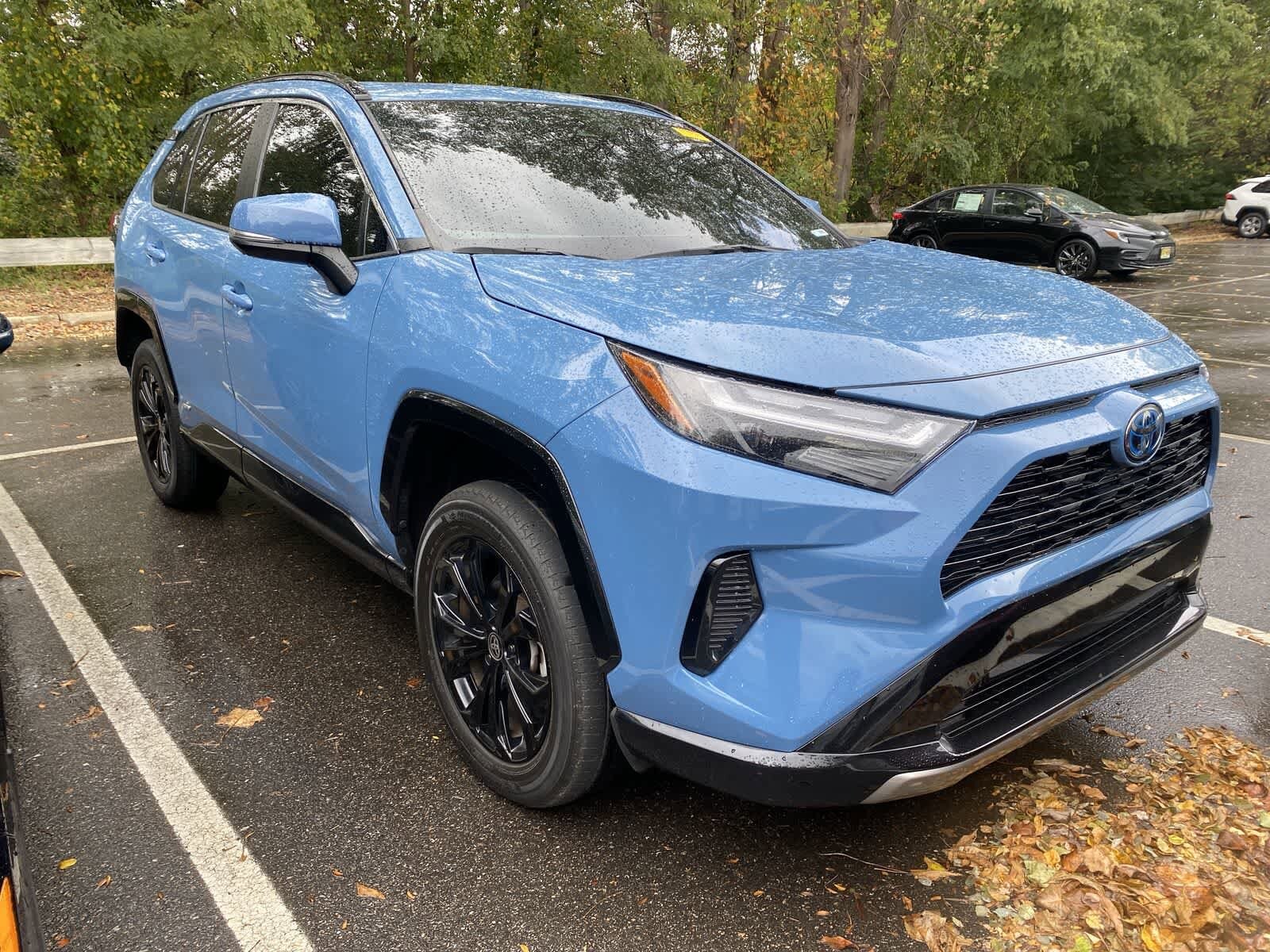 2022 Toyota RAV4 Hybrid SE photo 3
