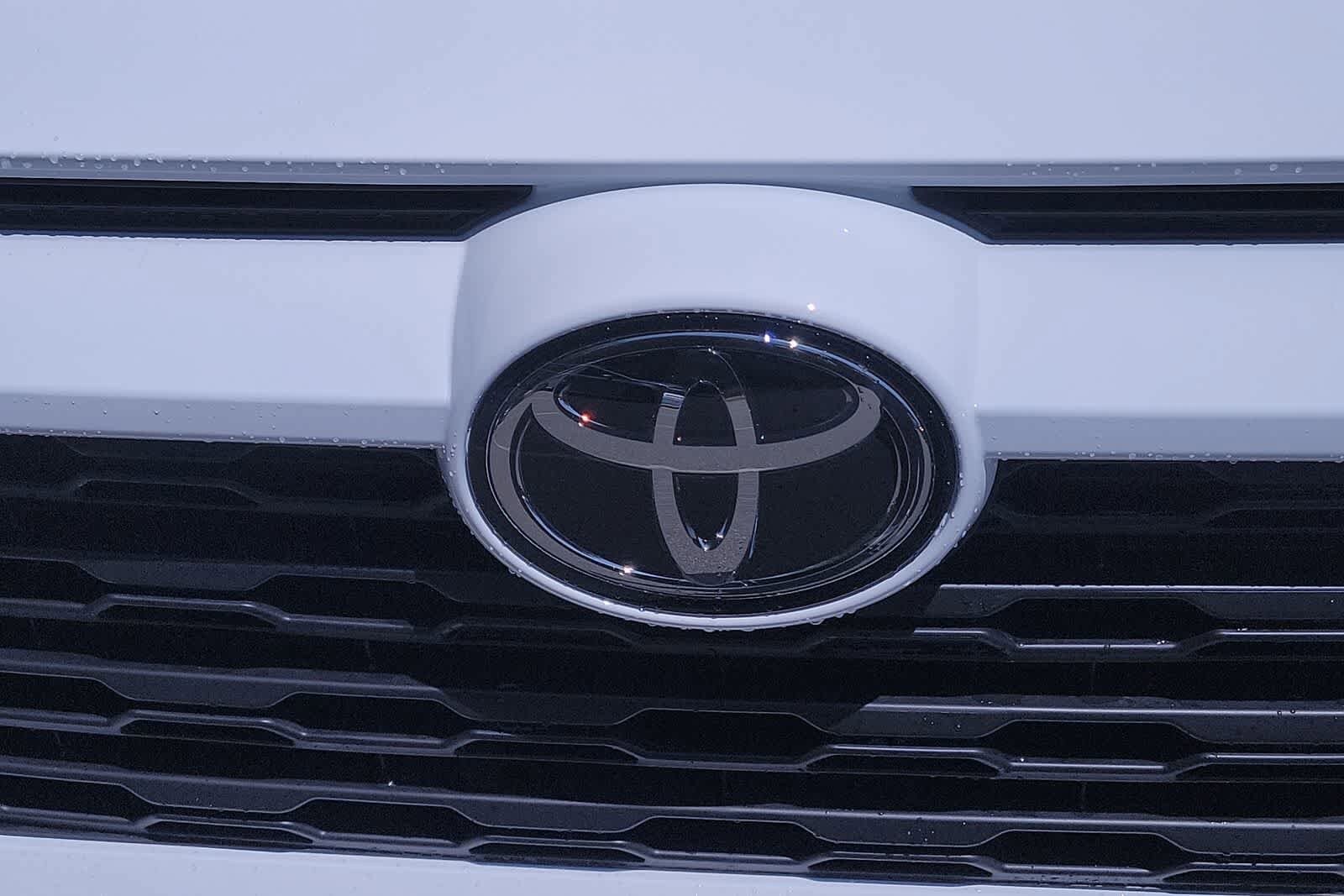 2025 Toyota RAV4 XLE 10