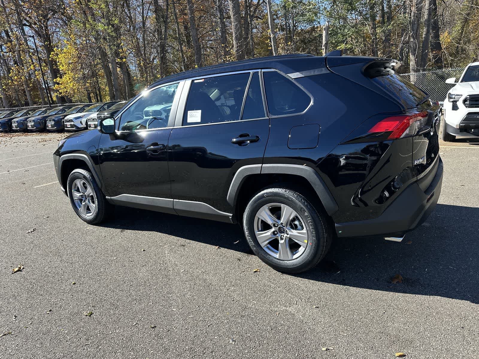 Thumbnail: 2025 Toyota RAV4 - 10