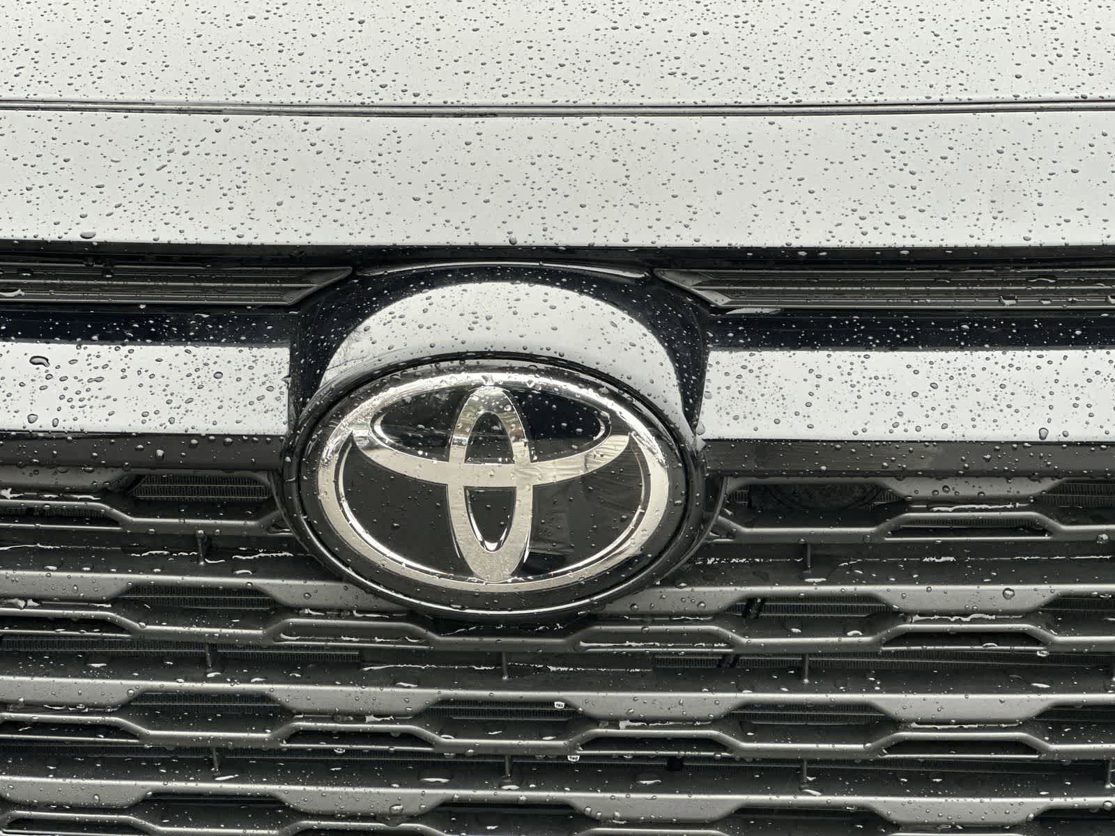 Thumbnail: 2025 Toyota RAV4 - 11