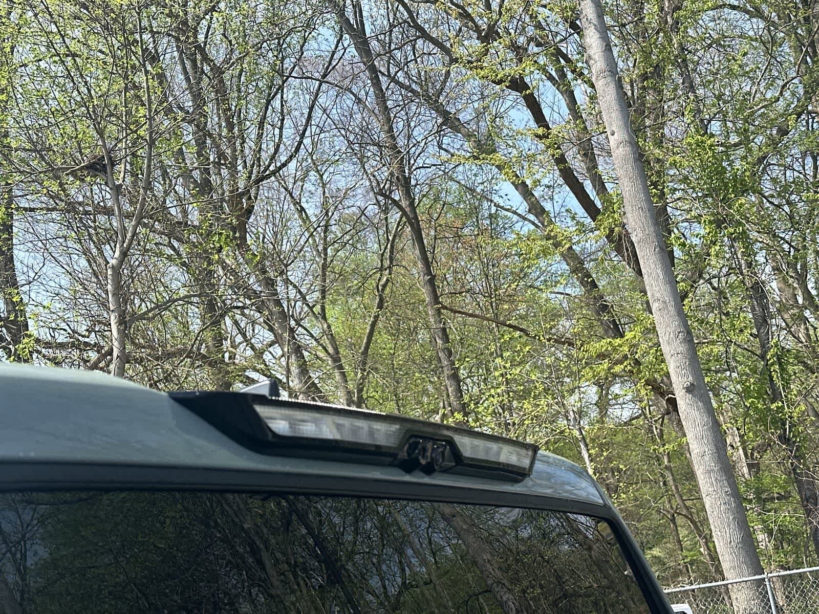 Thumbnail: 2026 Toyota Tundra - 17