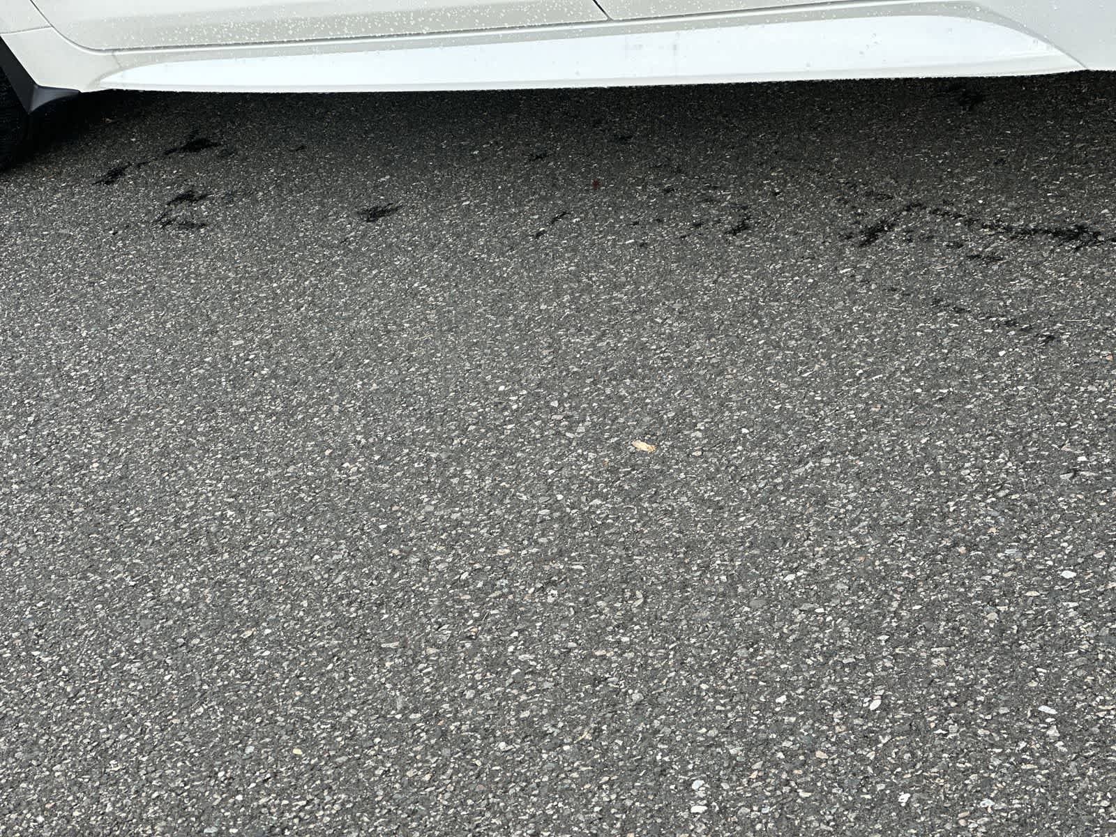 Thumbnail: 2026 Toyota Corolla - 21