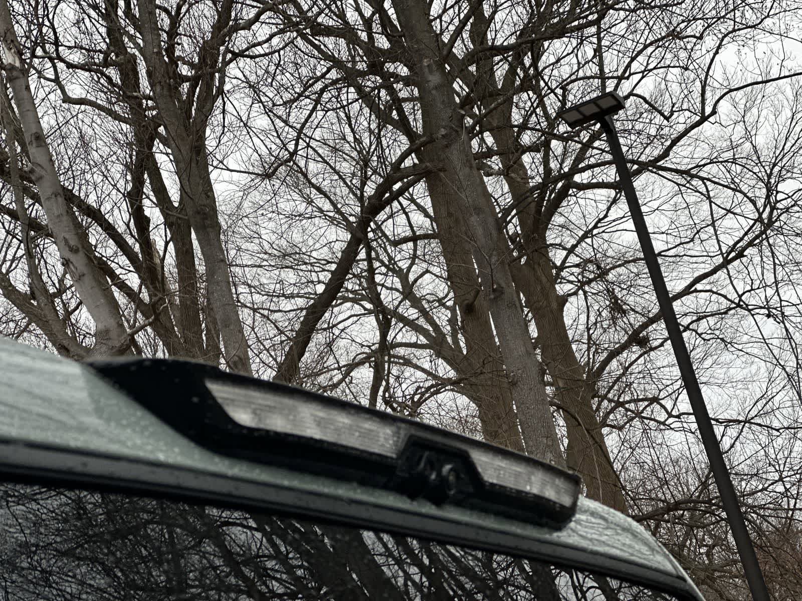 Thumbnail: 2026 Toyota Tundra - 16