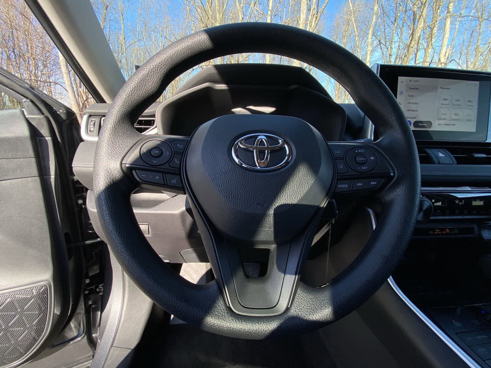 Thumbnail: 2025 Toyota RAV4 - 33