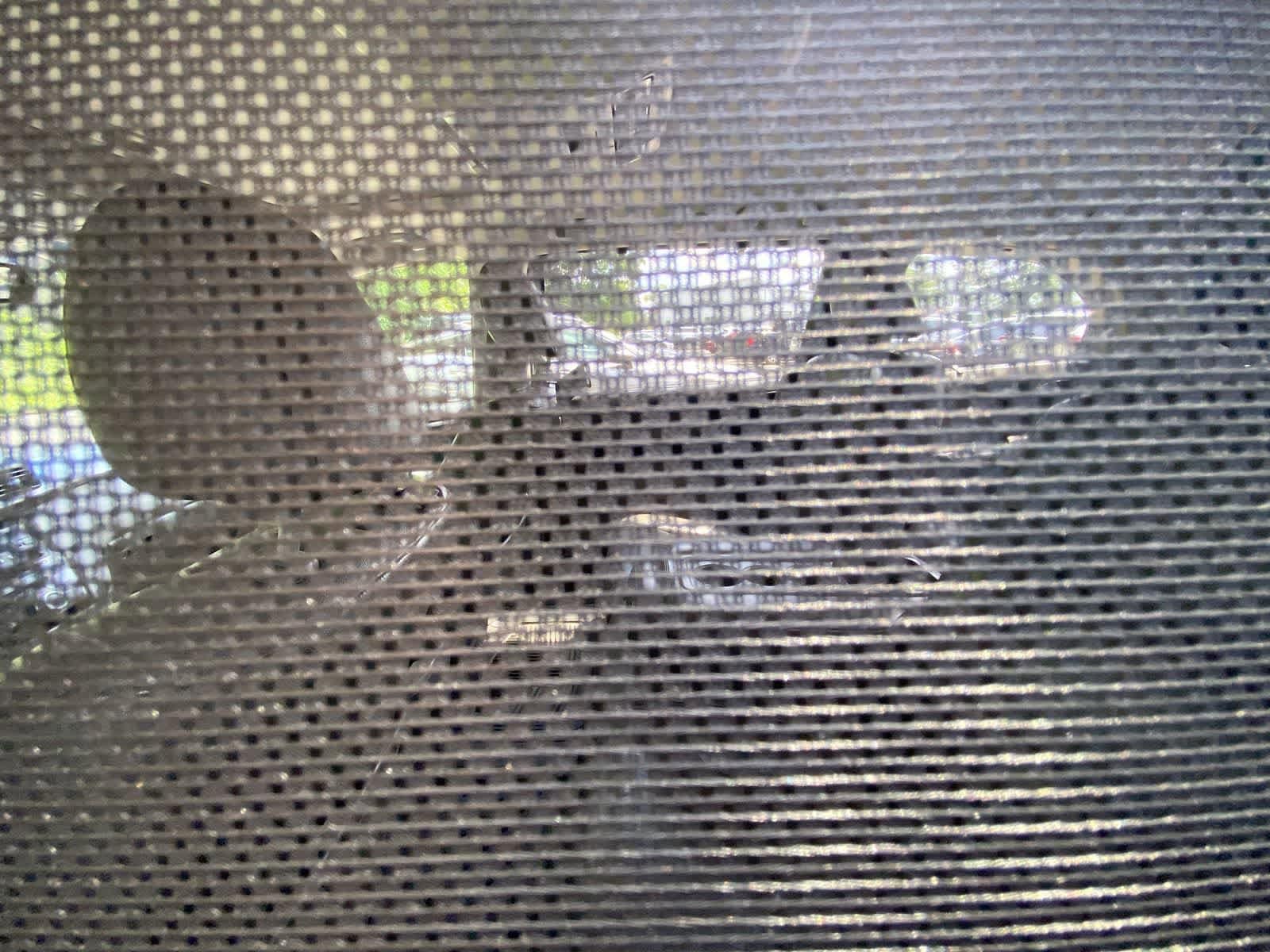 Thumbnail: 2011 Honda Odyssey - 5