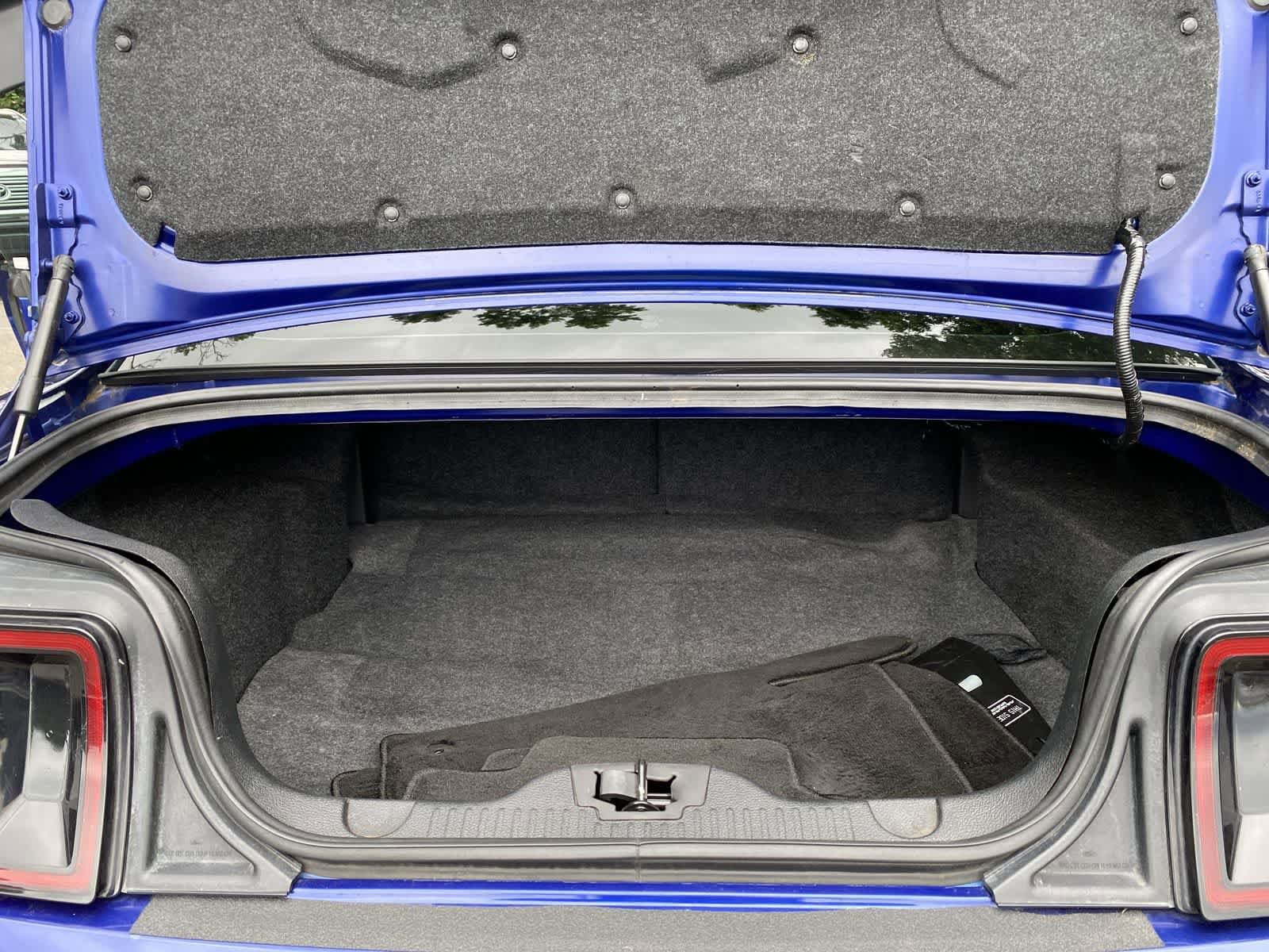 Thumbnail: 2014 Ford Mustang - 10
