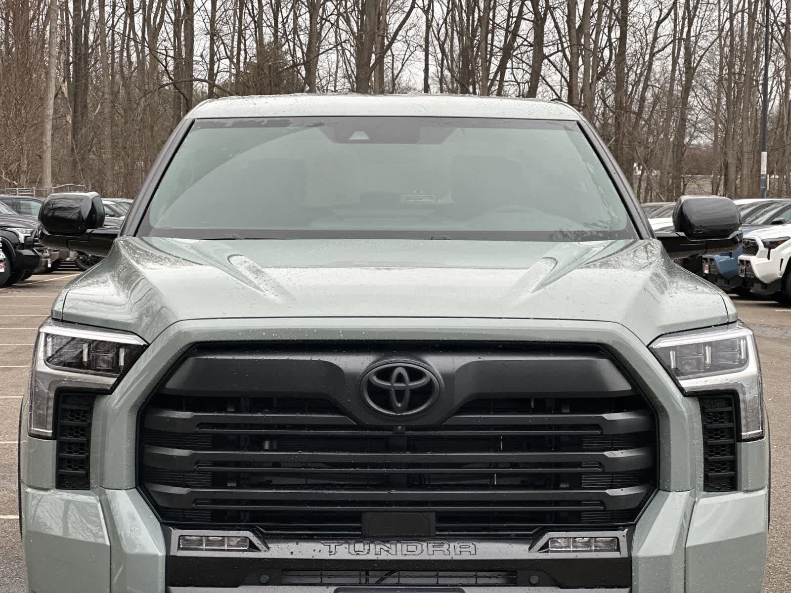 Thumbnail: 2026 Toyota Tundra - 14