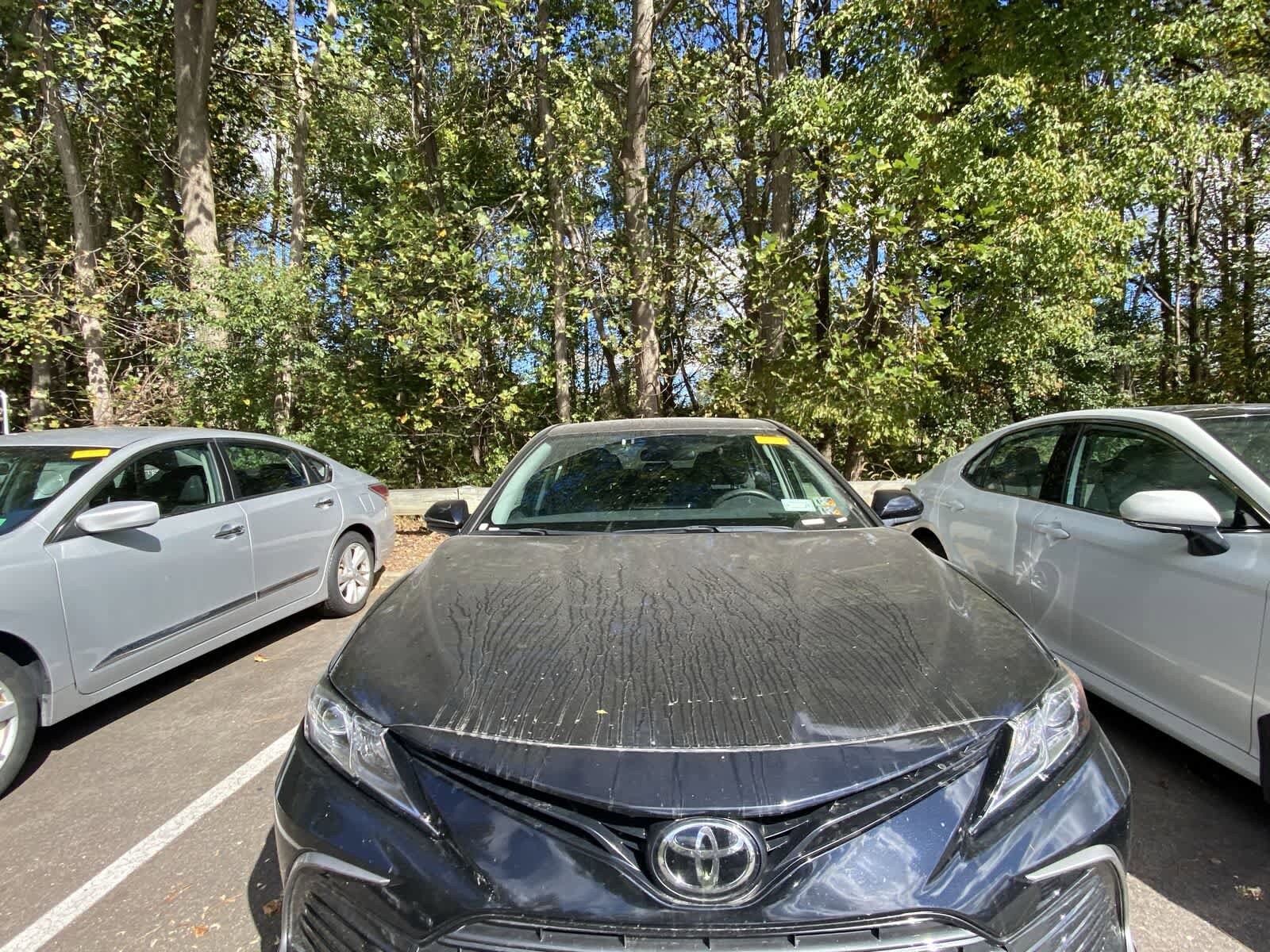 2024 Toyota Camry LE photo 2