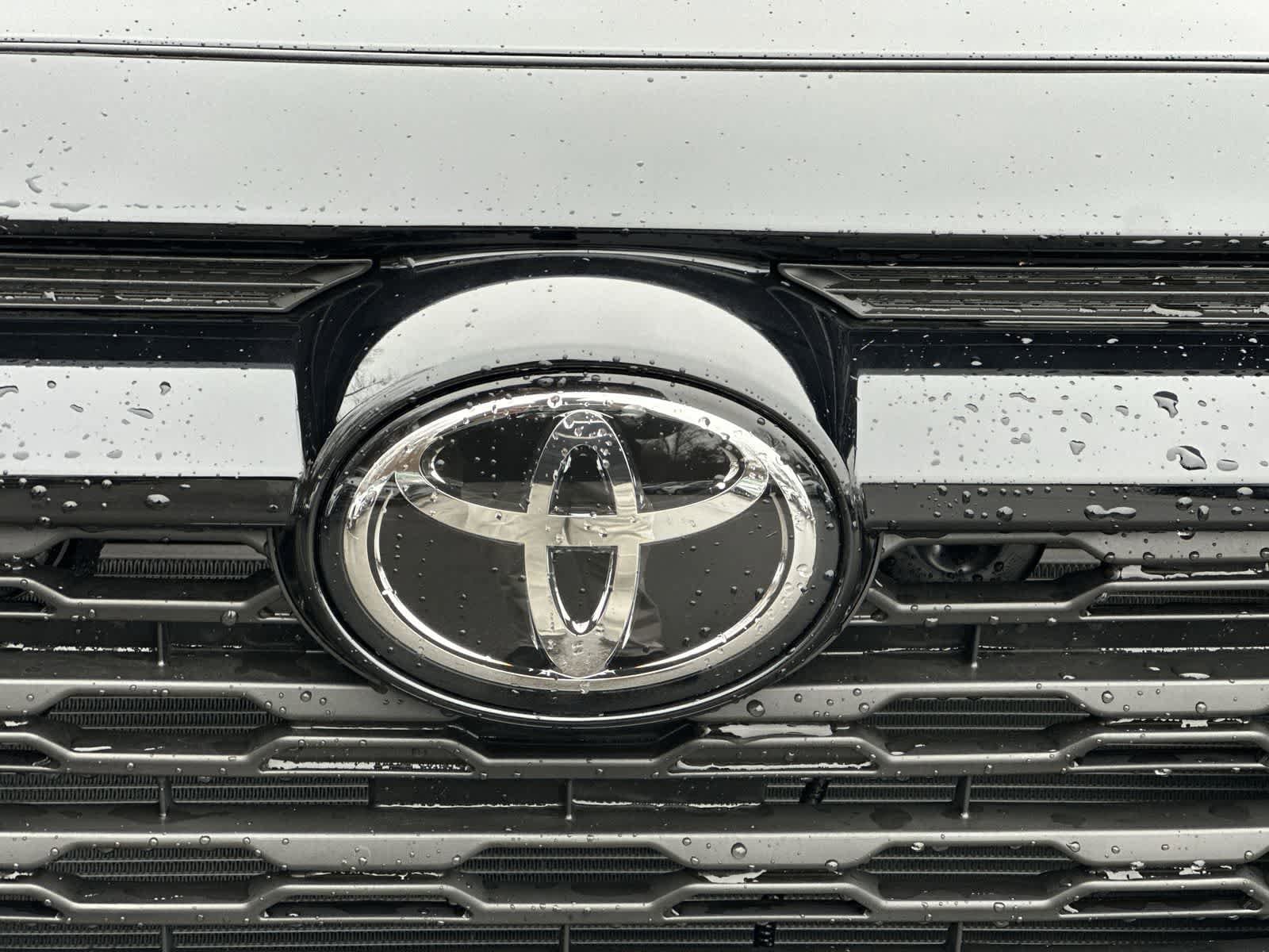 Thumbnail: 2025 Toyota RAV4 - 12