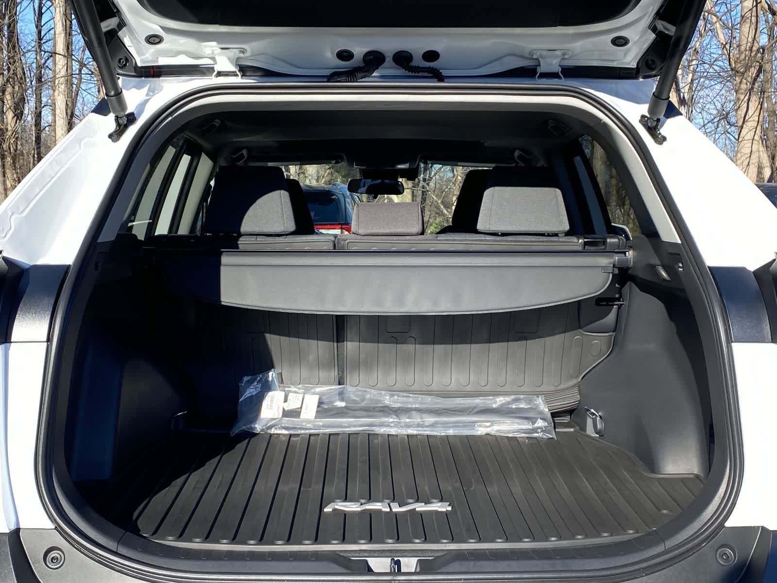 Thumbnail: 2025 Toyota RAV4 - 17