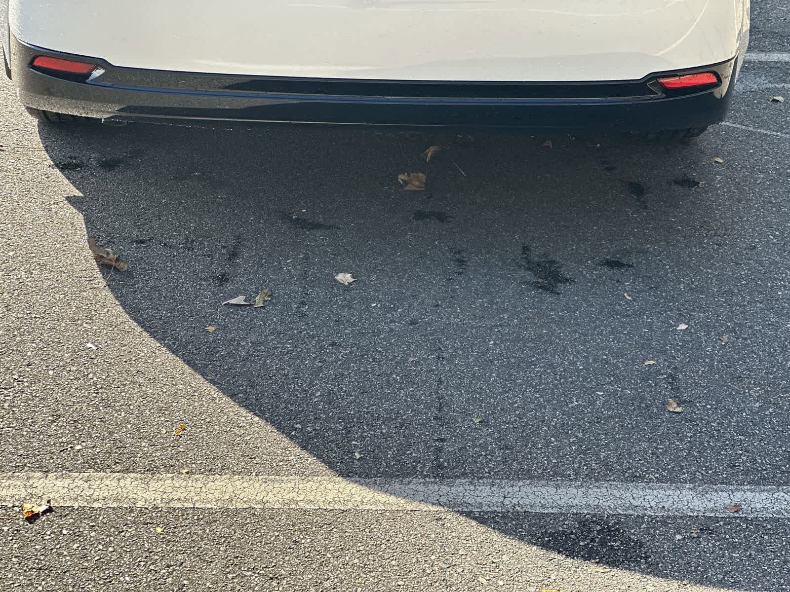 Thumbnail: 2026 Toyota Camry - 16