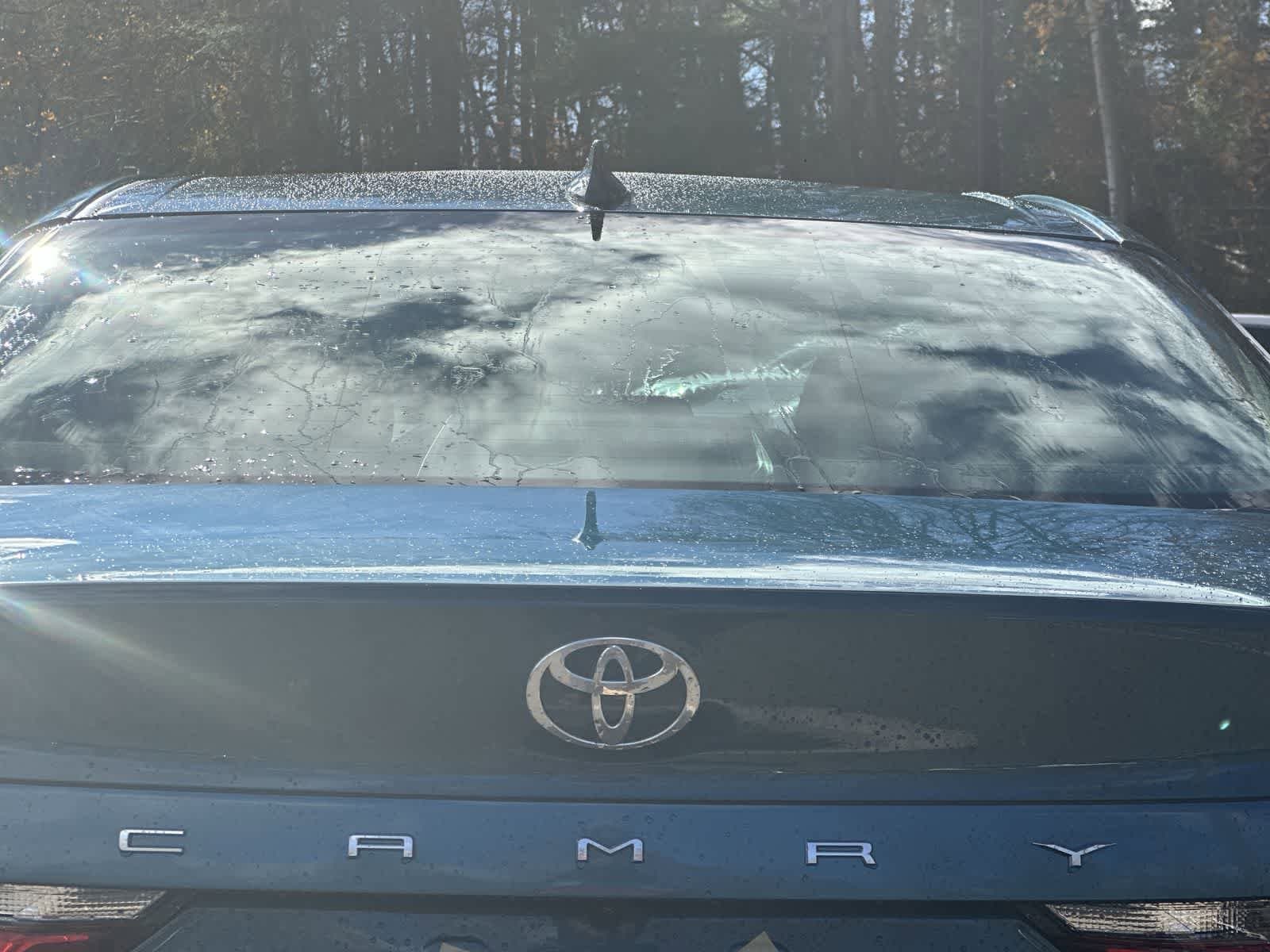 Thumbnail: 2026 Toyota Camry - 14