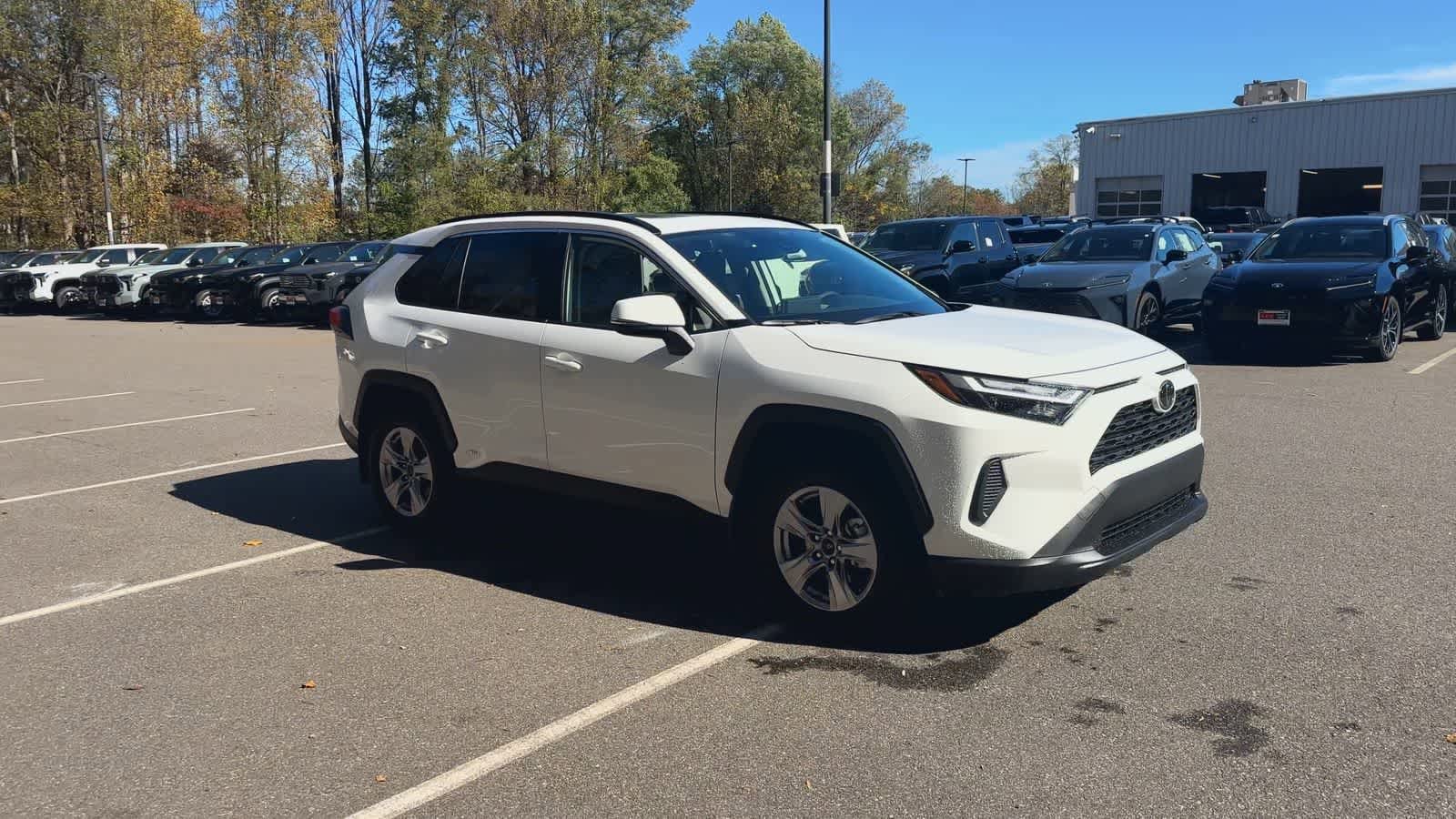 Thumbnail: 2025 Toyota RAV4 - 2