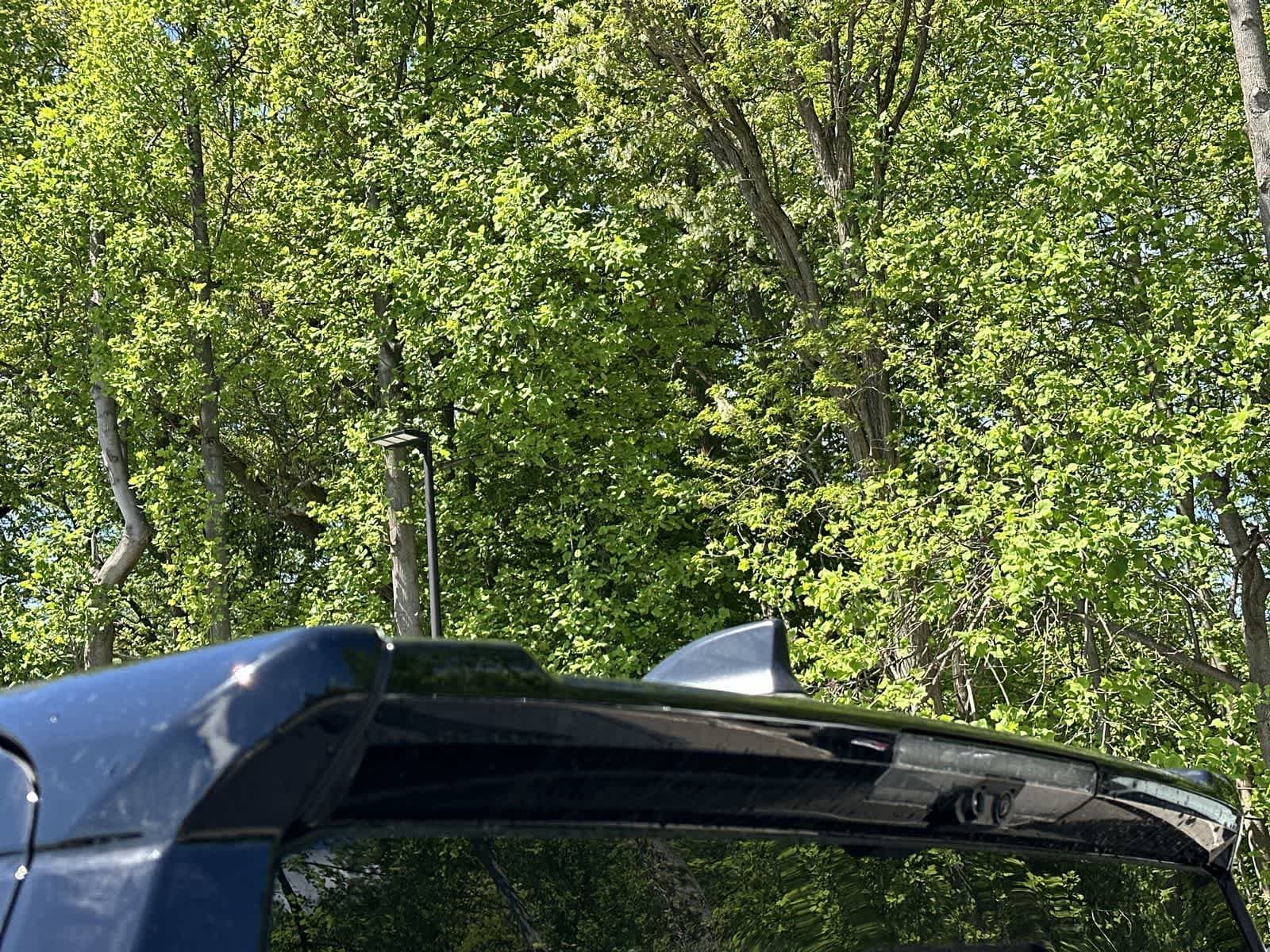 Thumbnail: 2026 Toyota Tacoma - 19