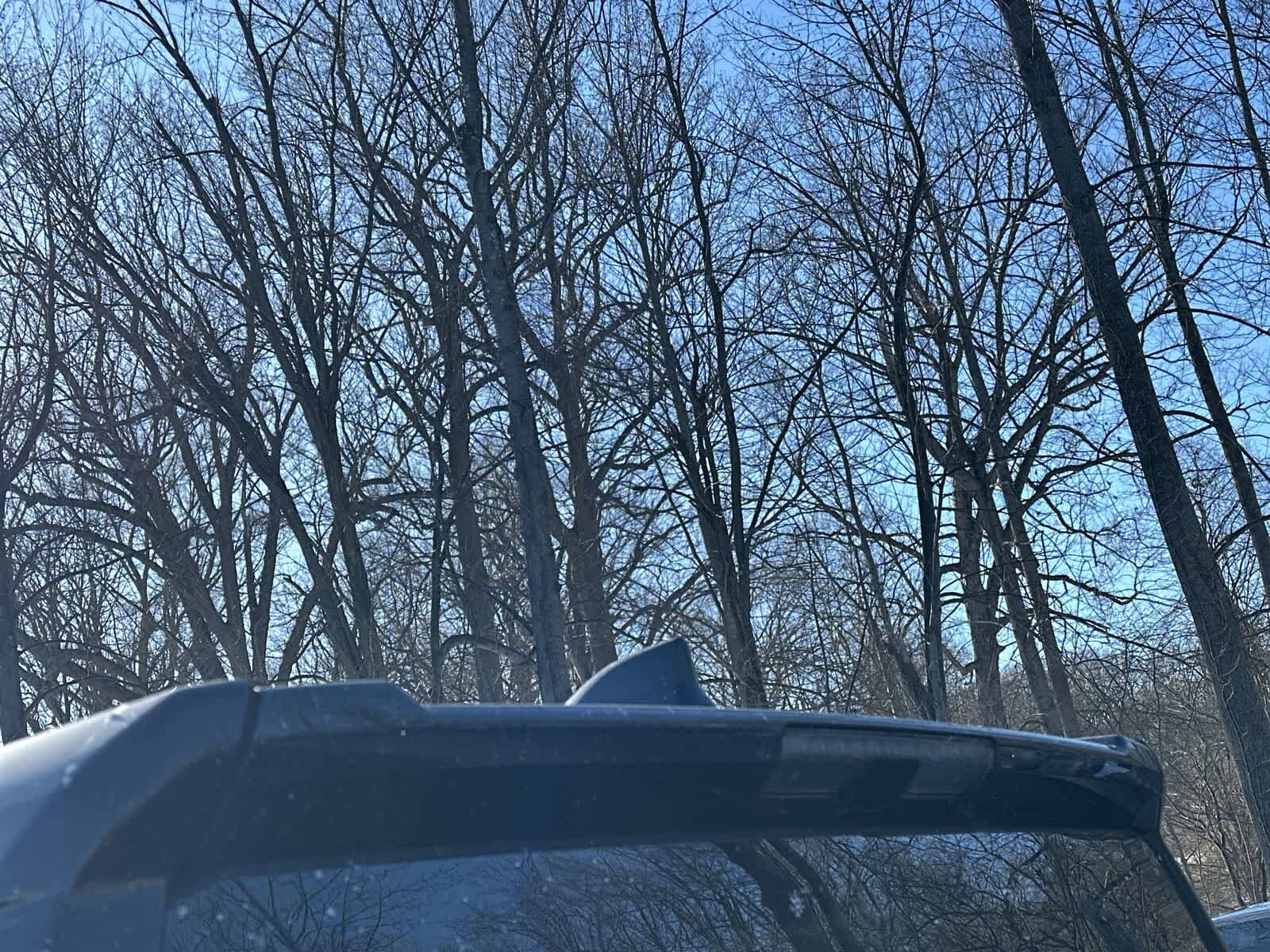 Thumbnail: 2026 Toyota Tacoma - 16