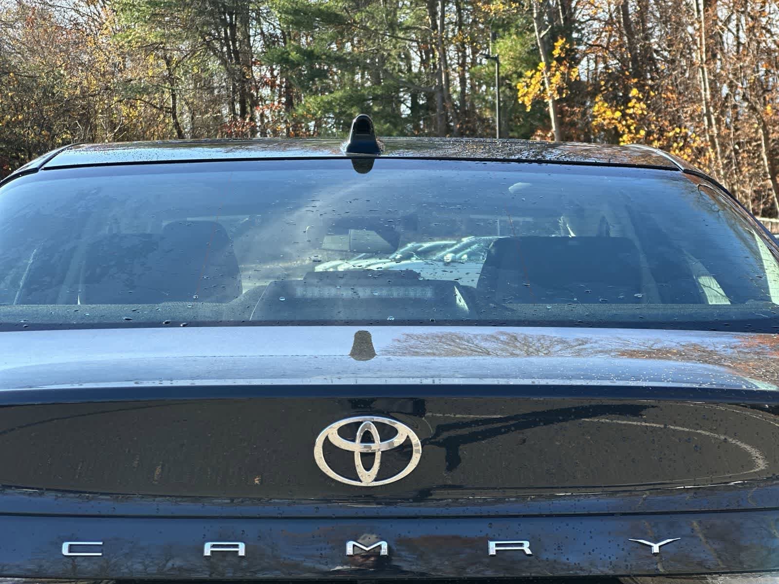 Thumbnail: 2026 Toyota Camry - 14