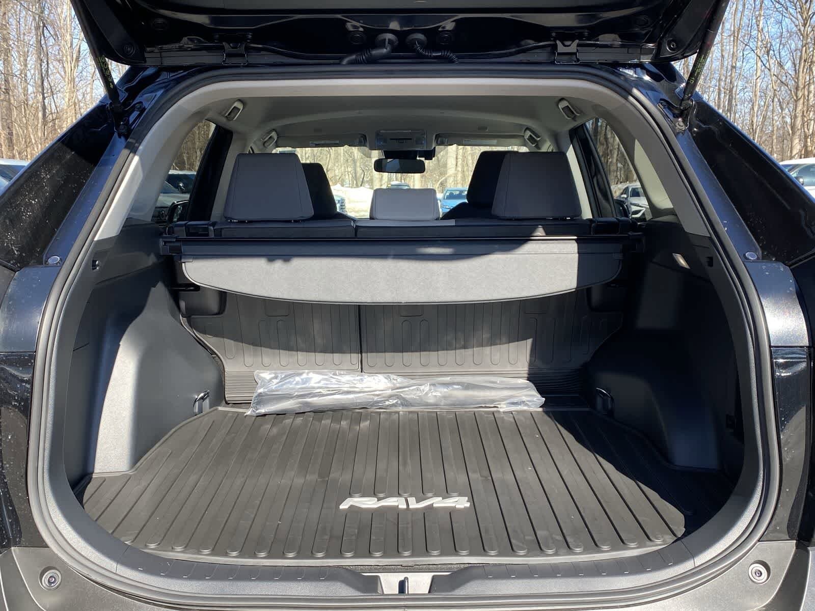 Thumbnail: 2025 Toyota RAV4 - 10