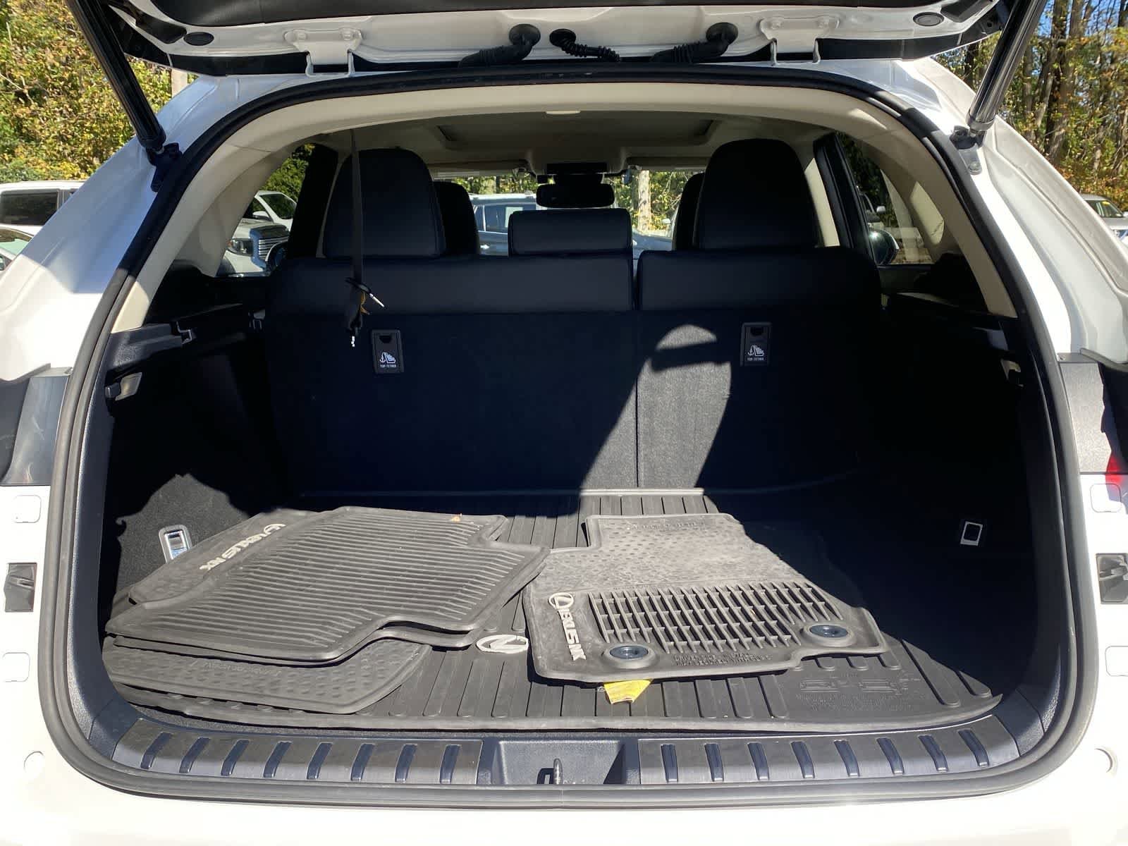 Thumbnail: 2020 Lexus NX - 10