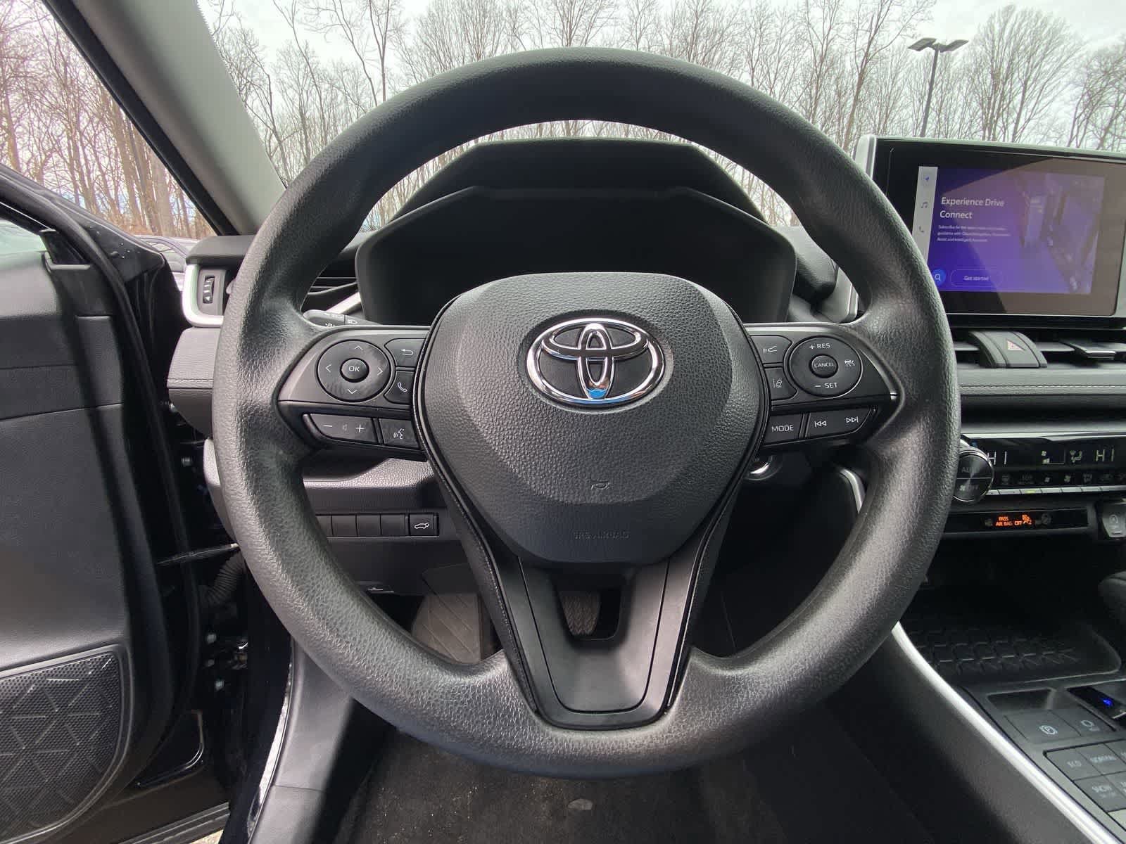 Thumbnail: 2025 Toyota RAV4 - 29