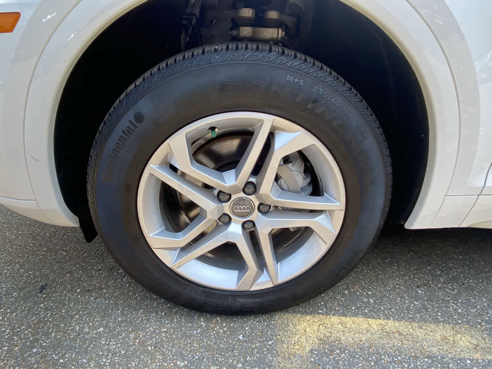 Thumbnail: 2019 Audi Q5 - 11