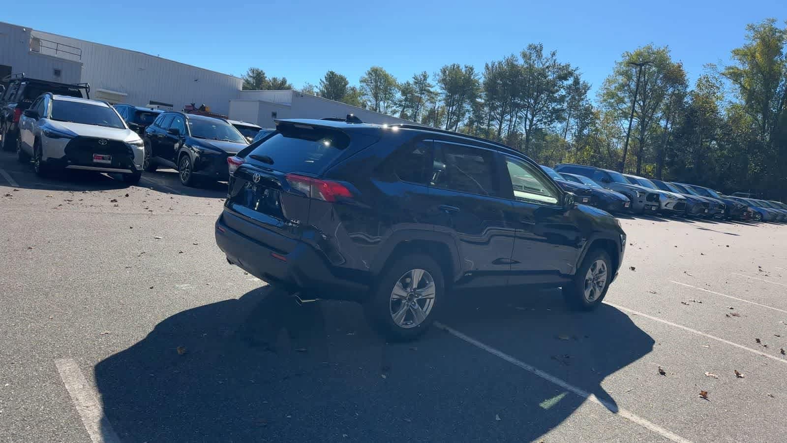 Thumbnail: 2025 Toyota RAV4 - 9