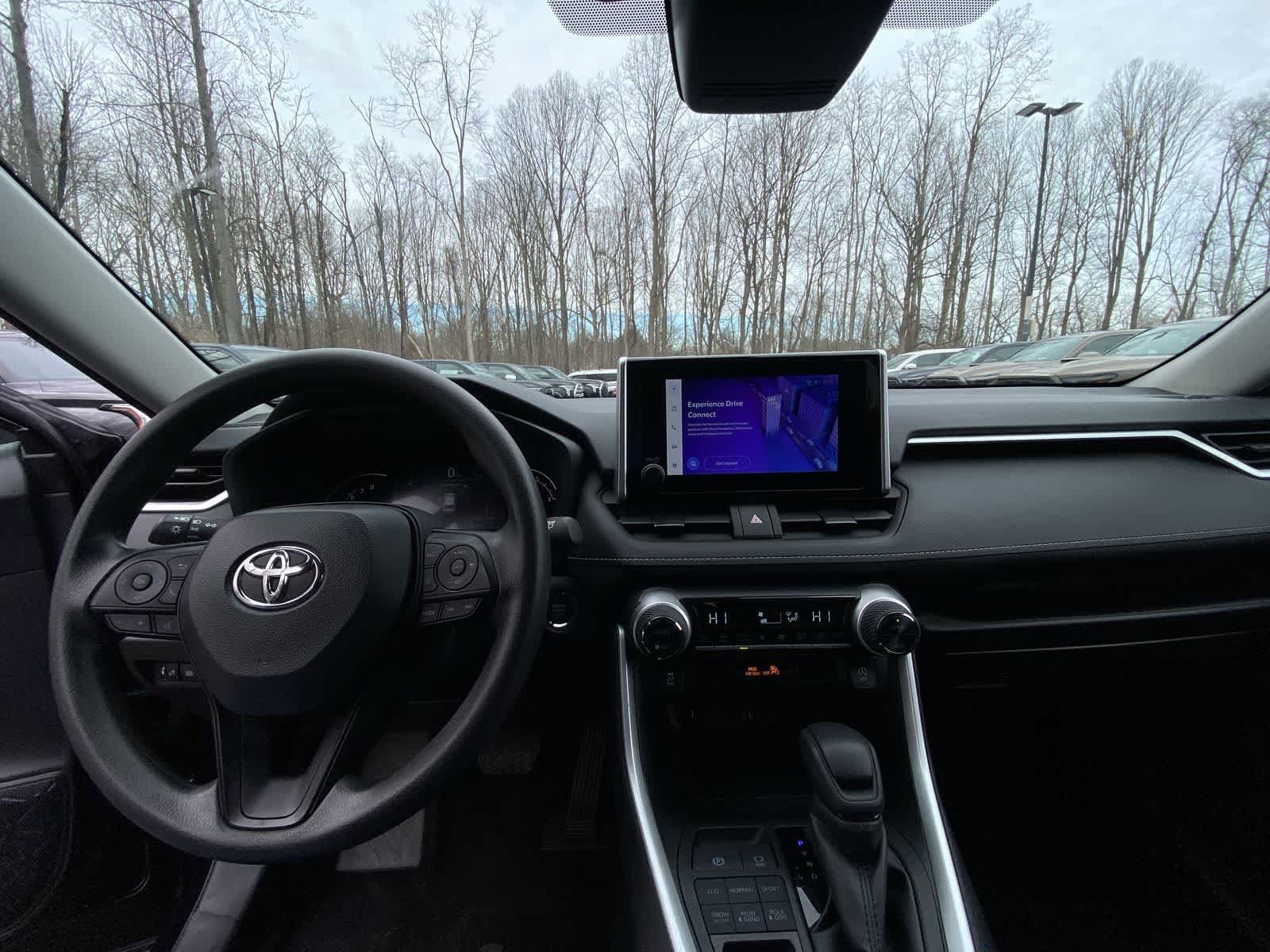 Thumbnail: 2025 Toyota RAV4 - 22