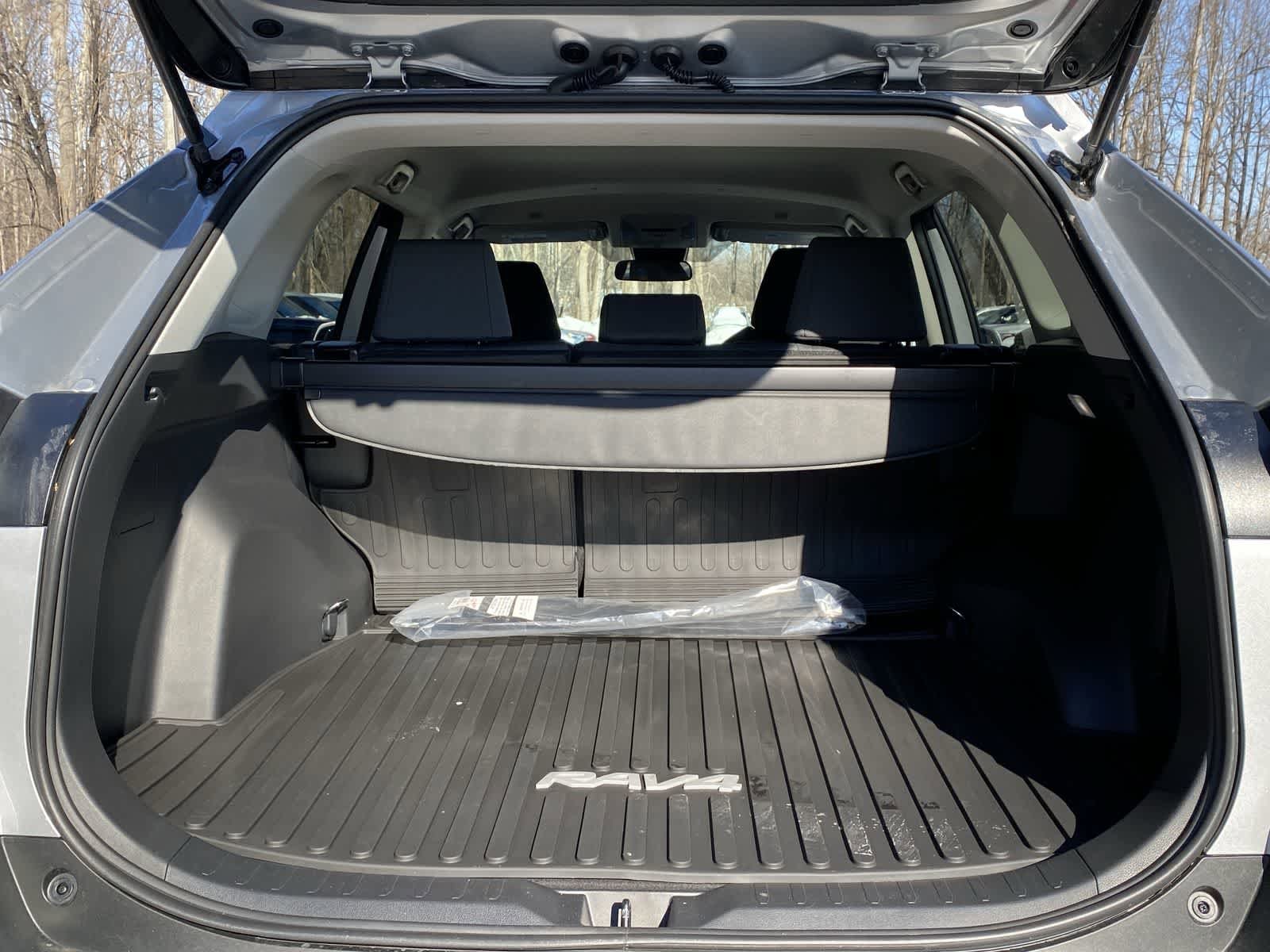 Thumbnail: 2025 Toyota RAV4 - 18