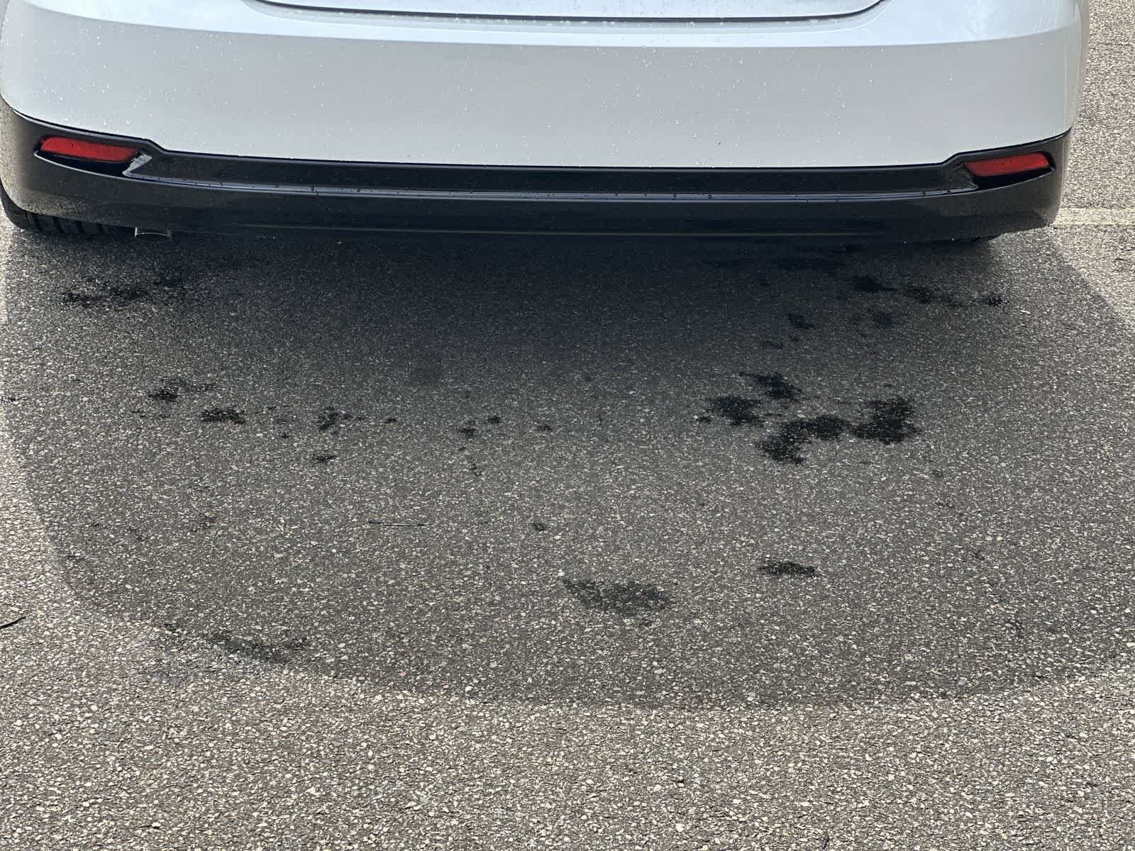 Thumbnail: 2026 Toyota Camry - 22