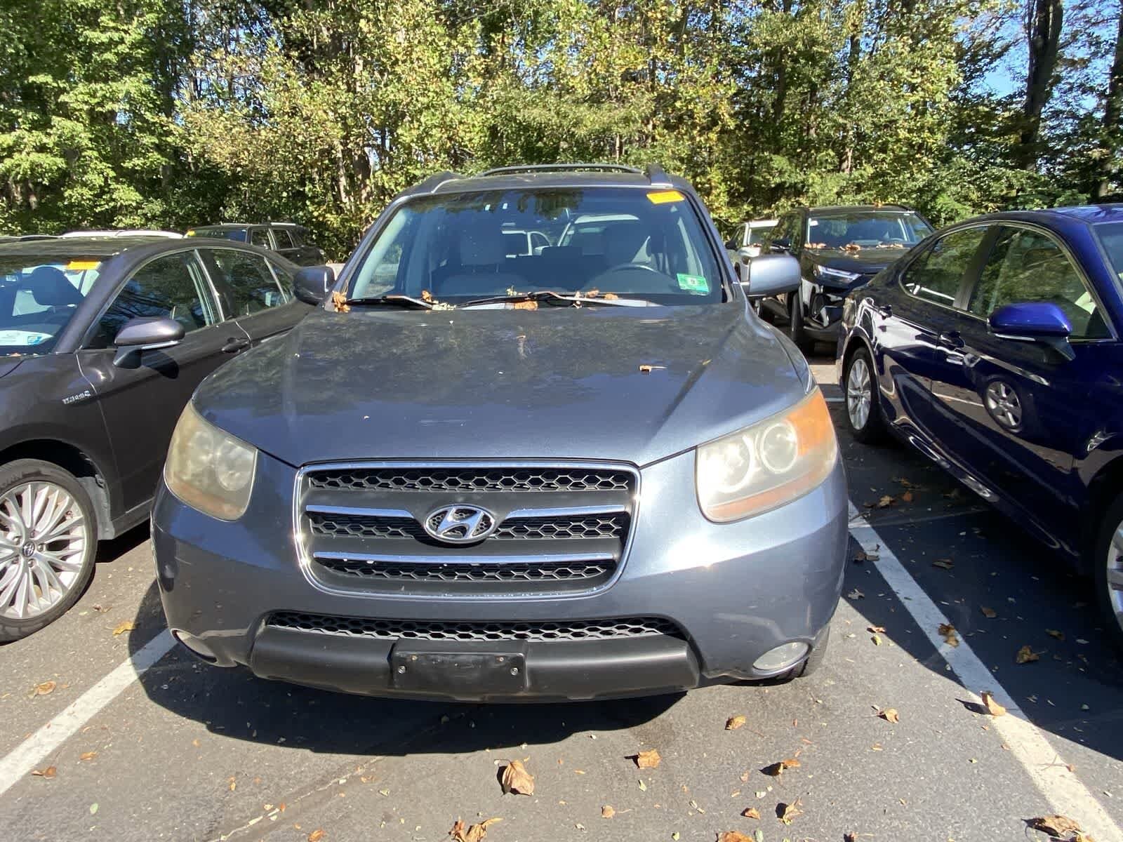 2007 Hyundai Santa Fe SE photo 2