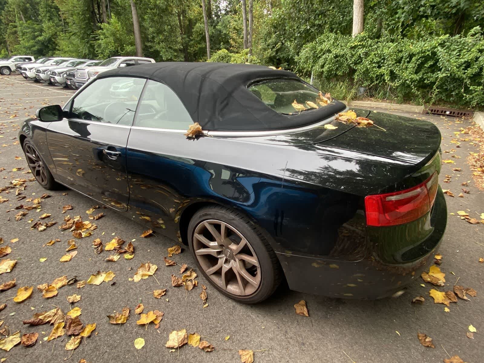 Thumbnail: 2011 Audi A5 - 7