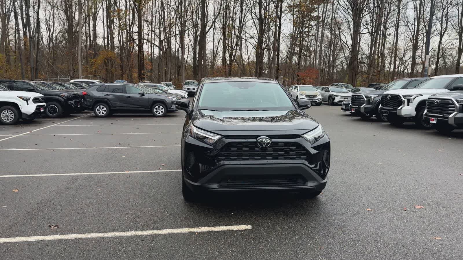 Thumbnail: 2025 Toyota RAV4 - 9