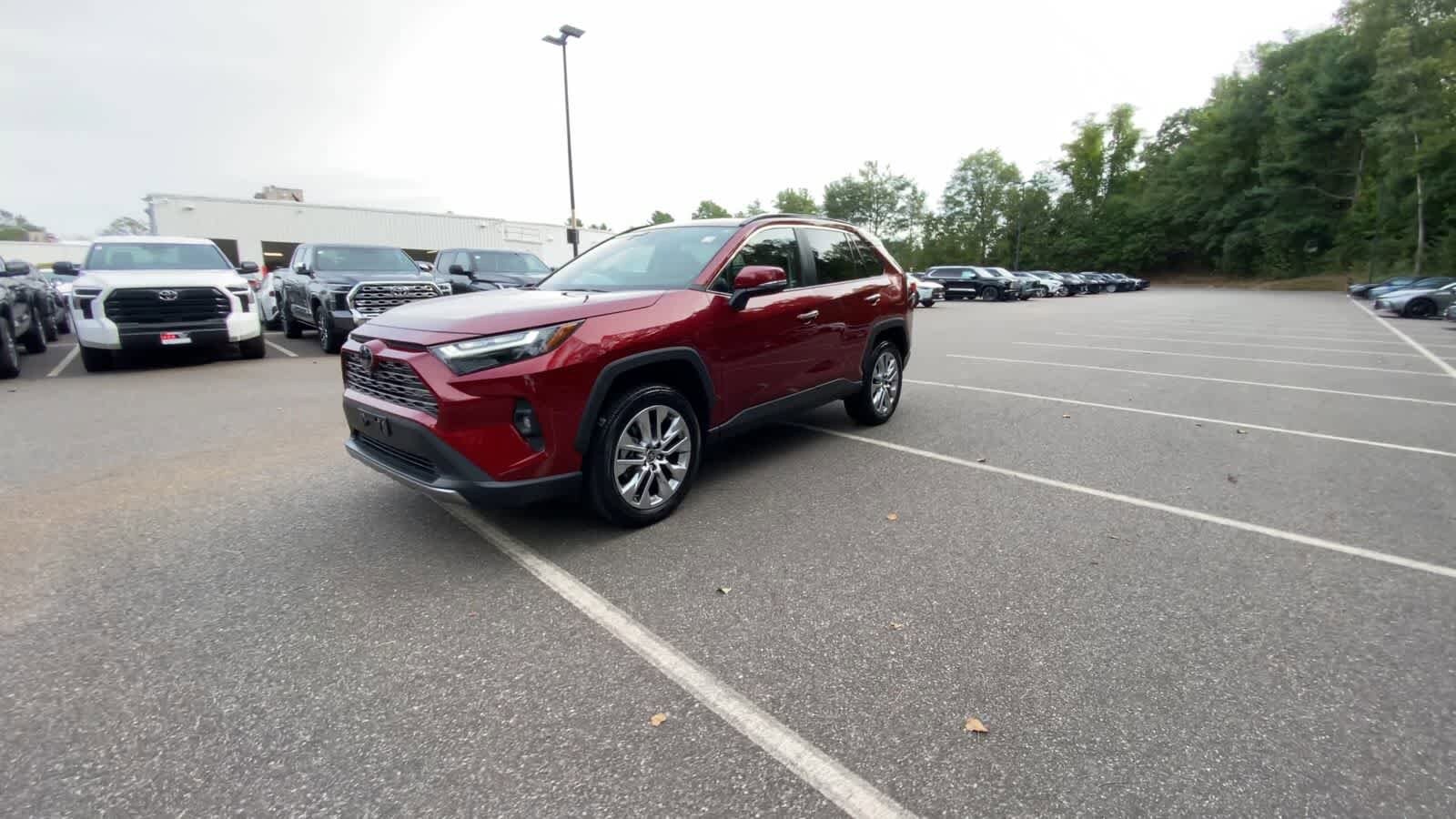 2024 Toyota RAV4 Limited photo 4