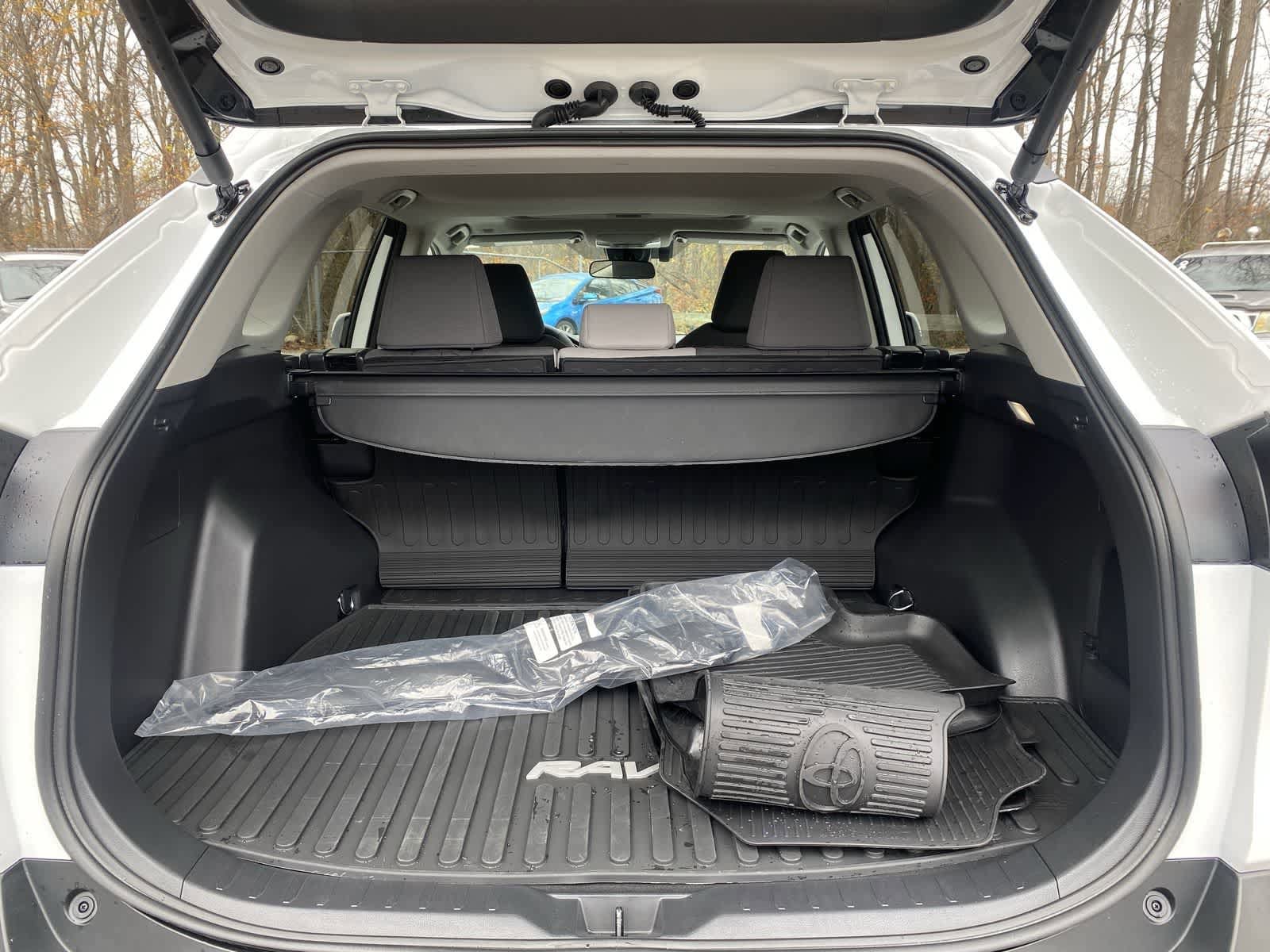 Thumbnail: 2025 Toyota RAV4 - 10