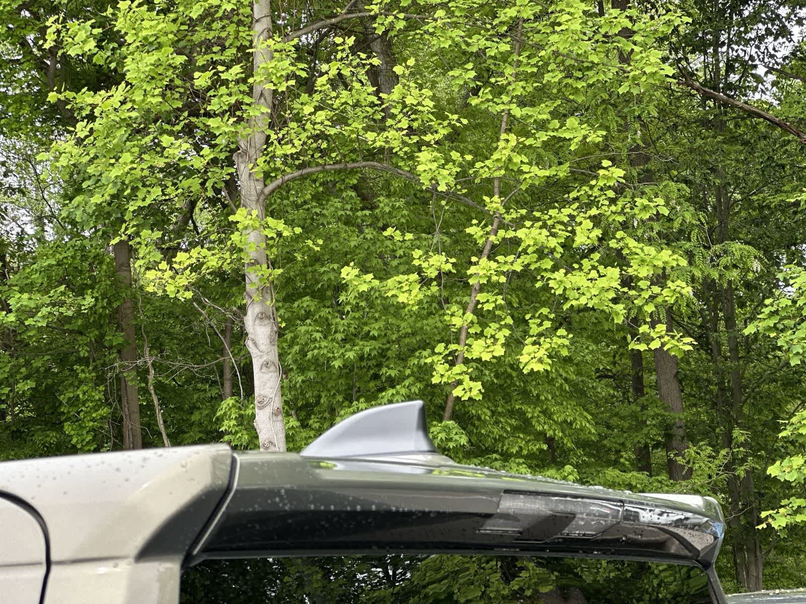 Thumbnail: 2026 Toyota Tacoma - 24