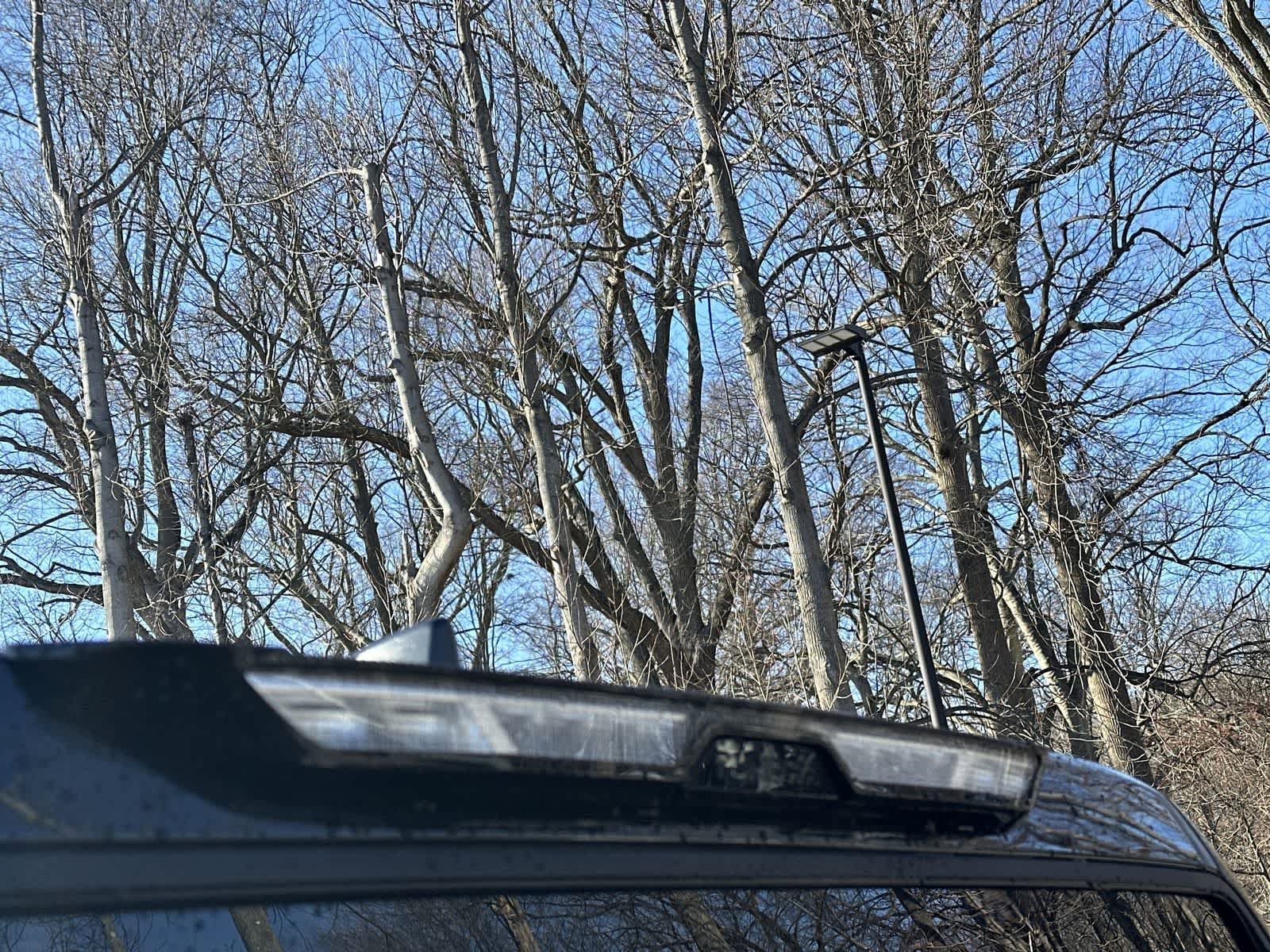 Thumbnail: 2026 Toyota Tundra - 20