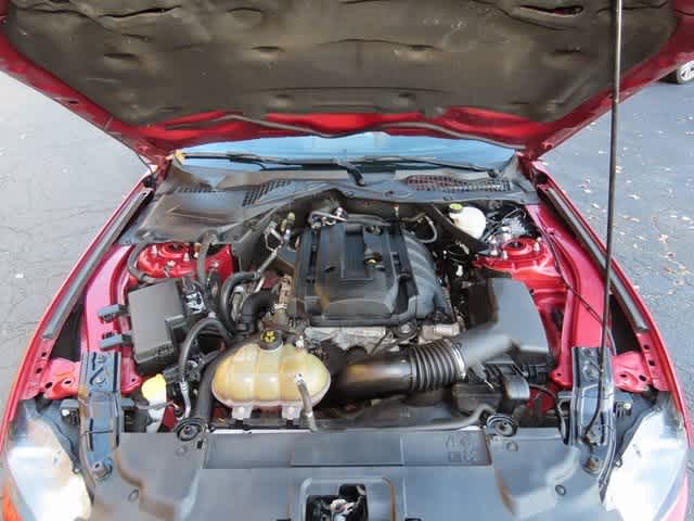 Thumbnail: 2019 Ford Mustang - 11