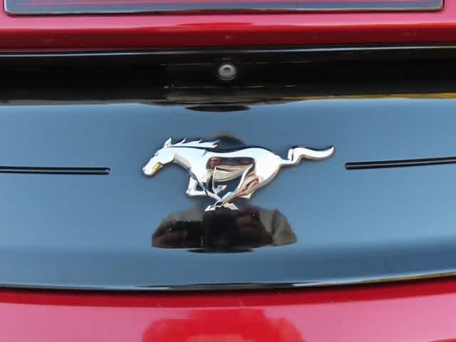 Thumbnail: 2019 Ford Mustang - 9