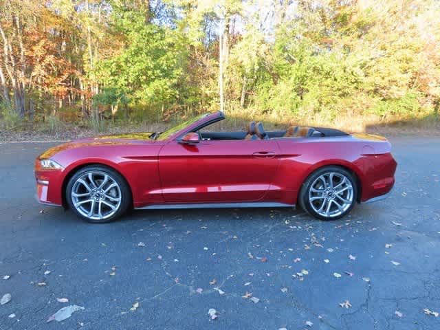 Thumbnail: 2019 Ford Mustang - 4