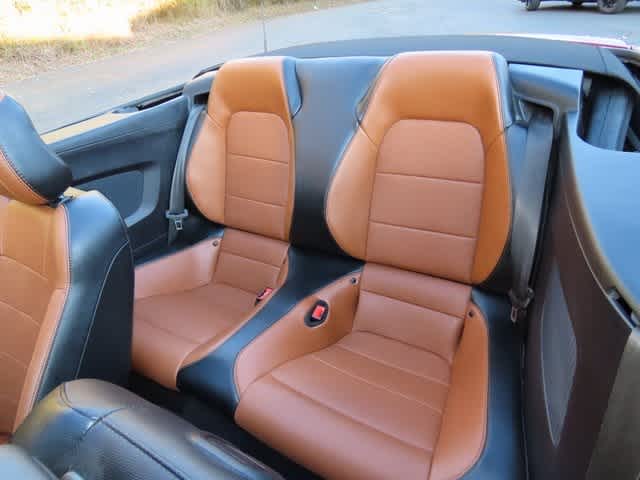 Thumbnail: 2019 Ford Mustang - 16