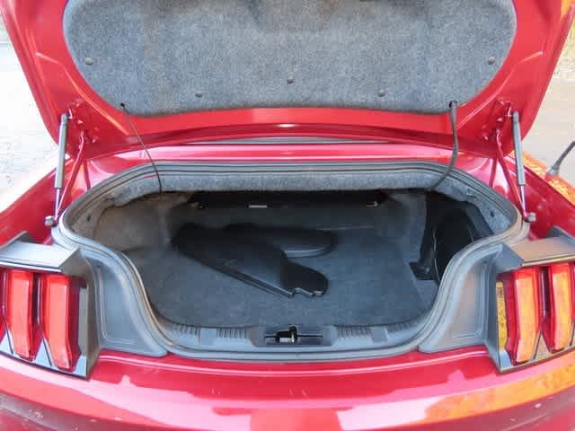 Thumbnail: 2019 Ford Mustang - 13