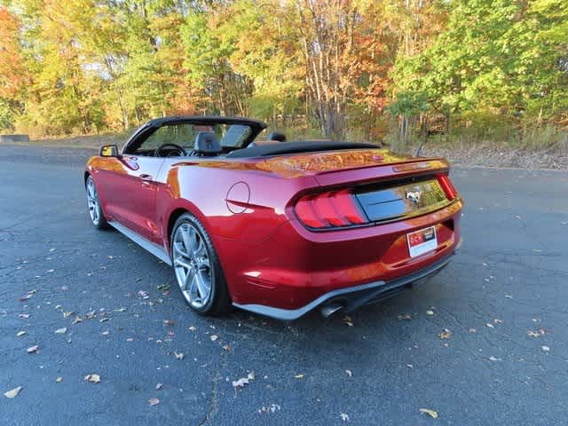 Thumbnail: 2019 Ford Mustang - 6