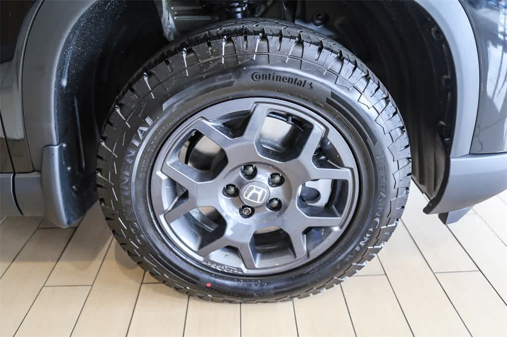 2025 Honda Pilot TrailSport 11