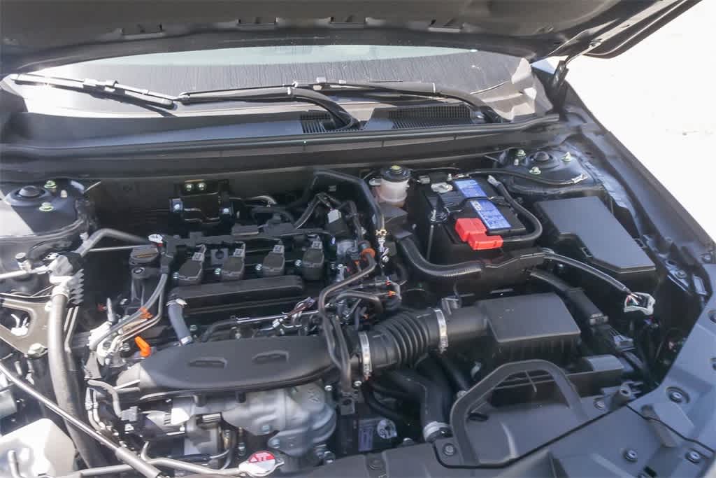 Thumbnail: 2025 Honda Accord - 12