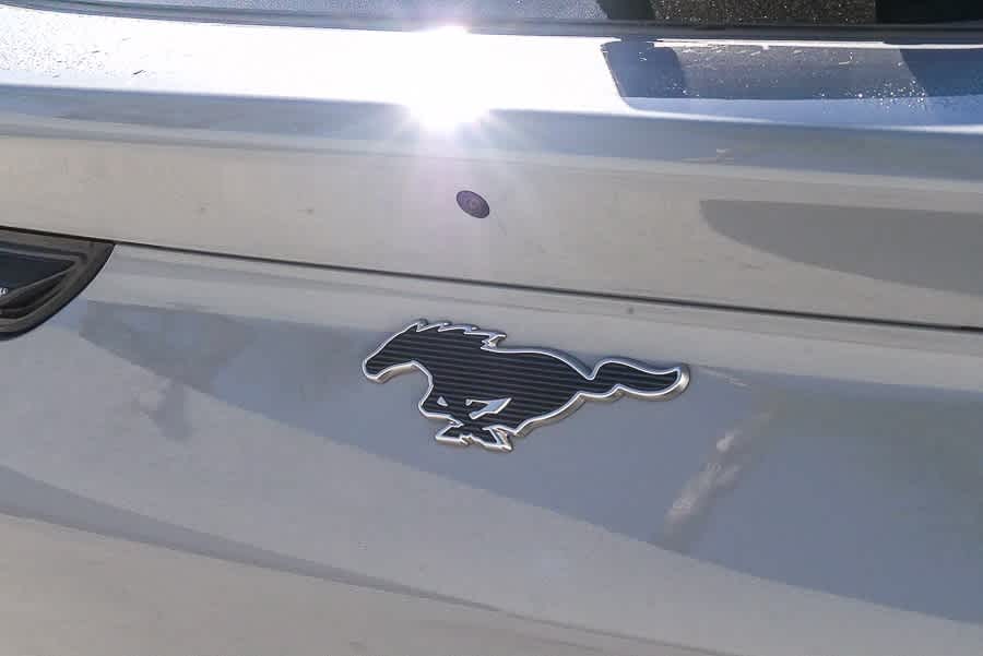 Thumbnail: 2024 Ford Mustang Mach-E - 11