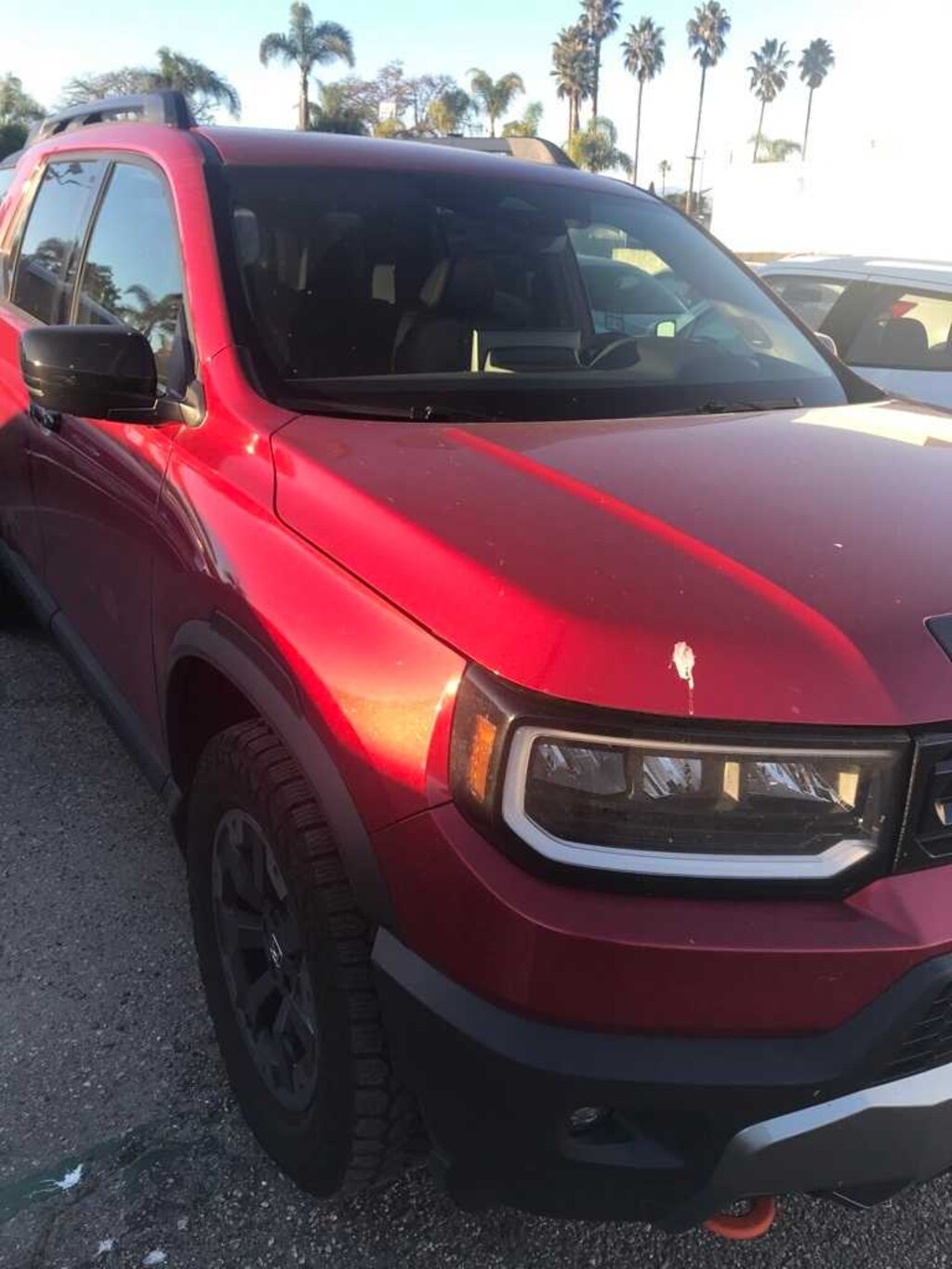 Used 2026 Honda Passport TrailSport Elite SUV